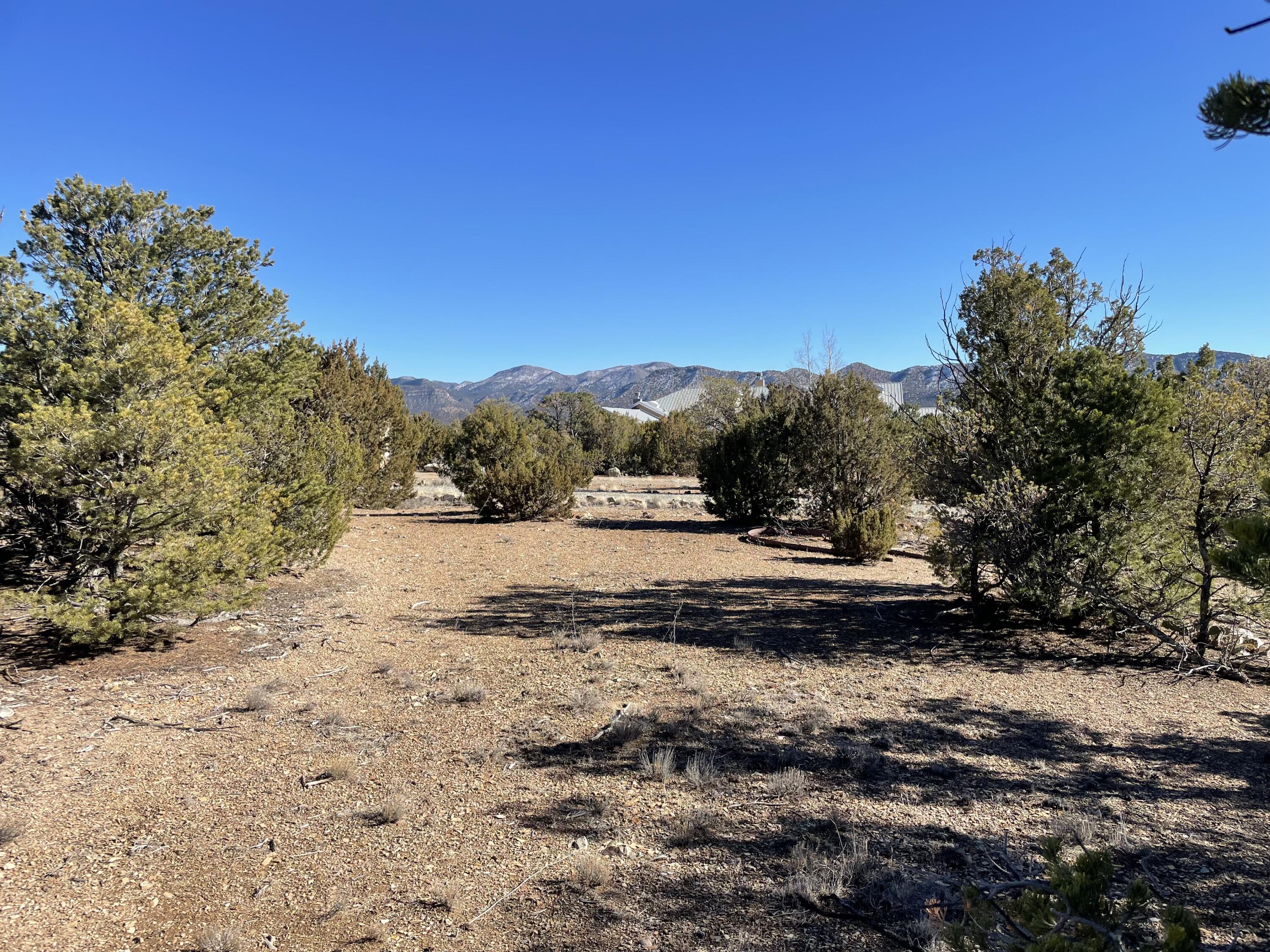 Photo 15 — 71 Raindance Road