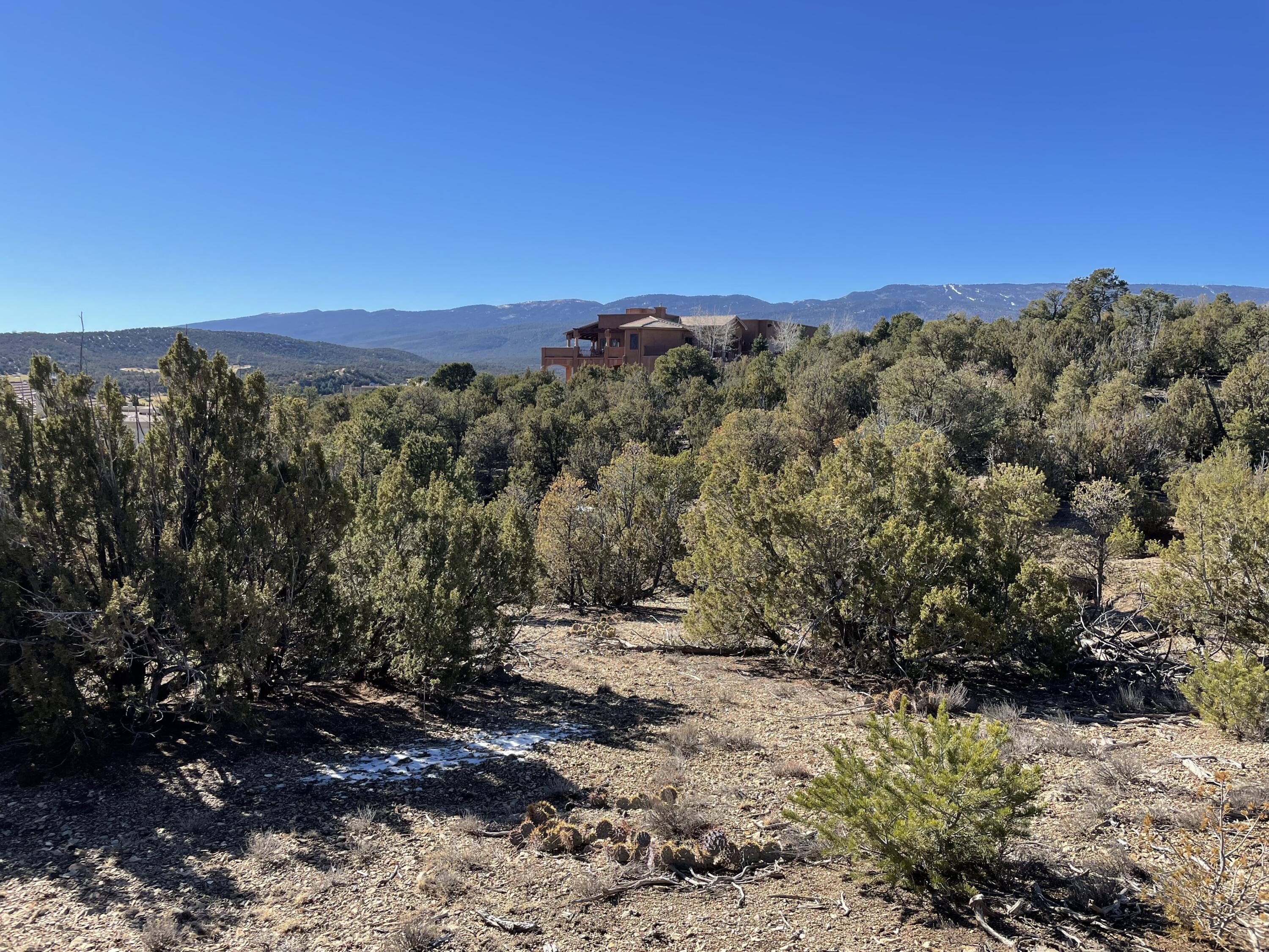 Photo 17 — 71 Raindance Road