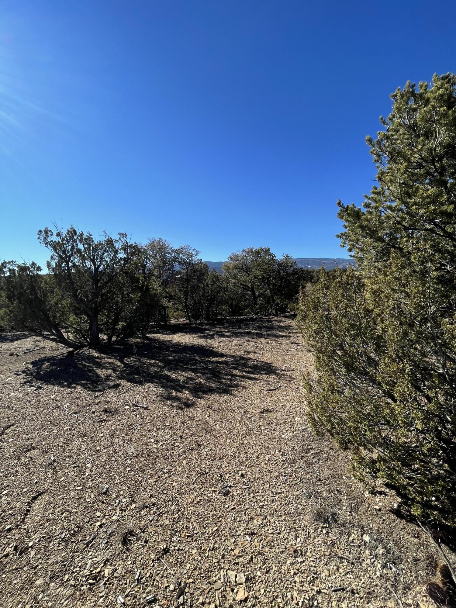 Photo 2 — 71 Raindance Road