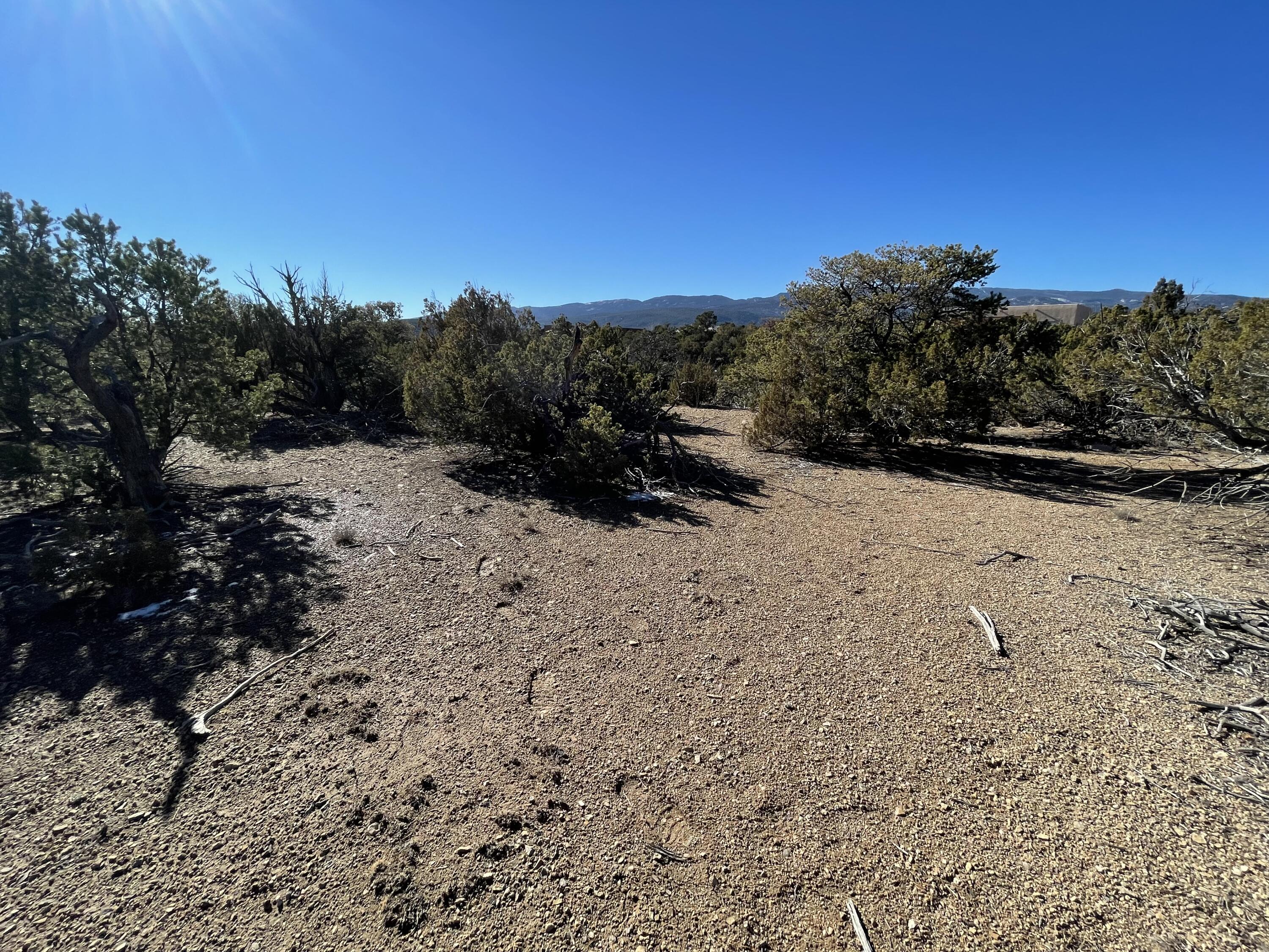 Photo 3 — 71 Raindance Road