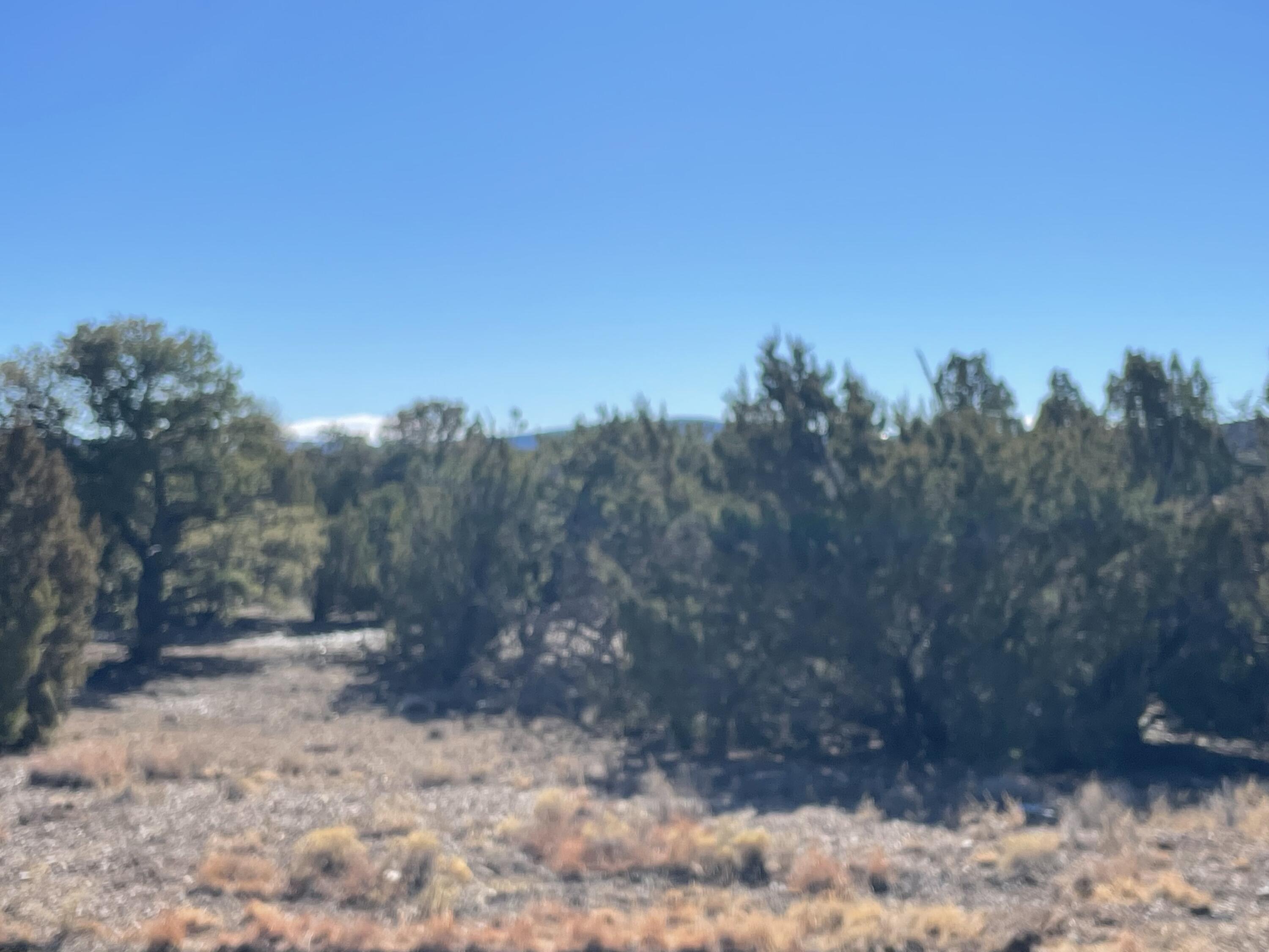 Photo 4 — 71 Raindance Road