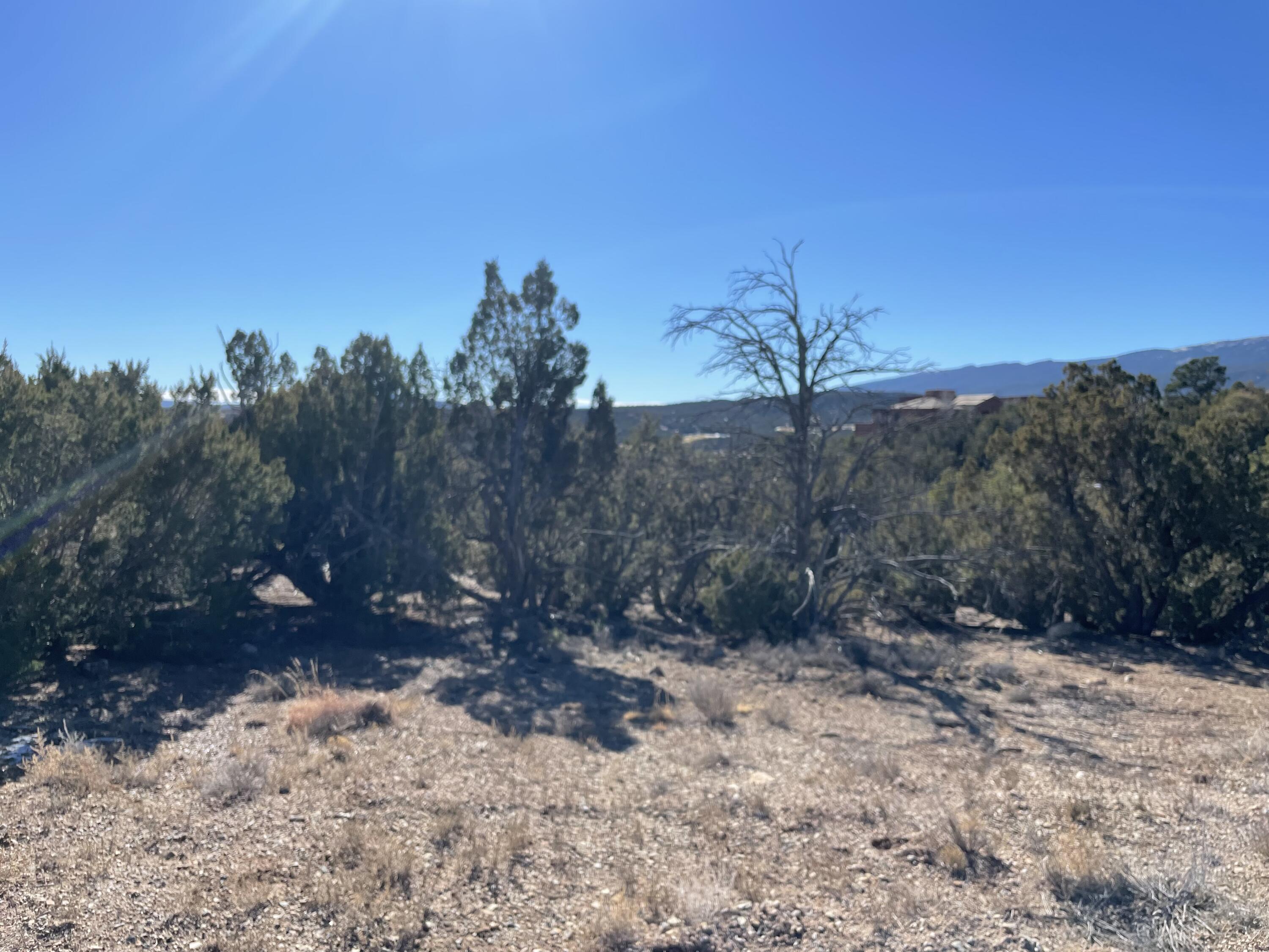 Photo 5 — 71 Raindance Road