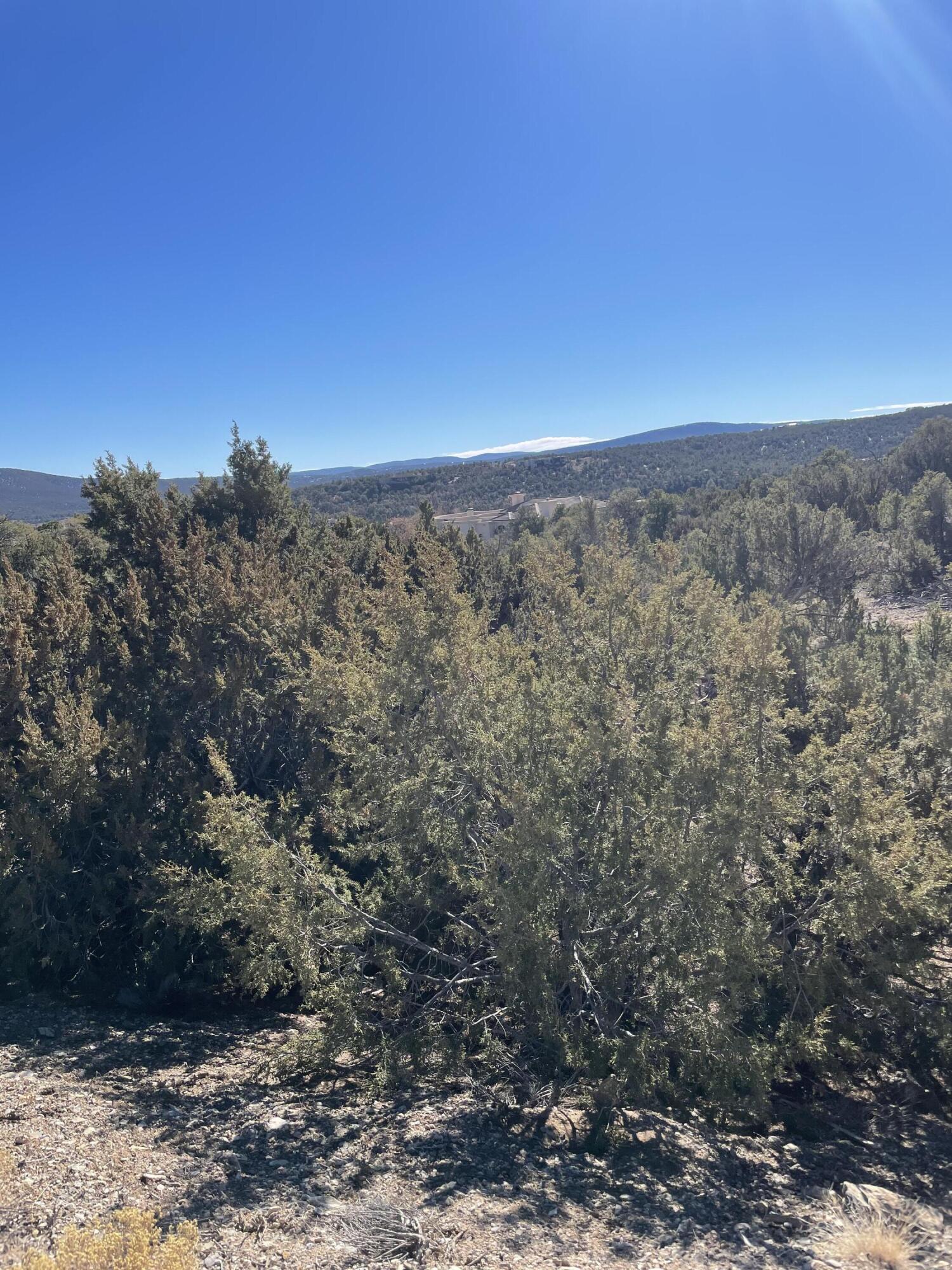 Photo 8 — 71 Raindance Road