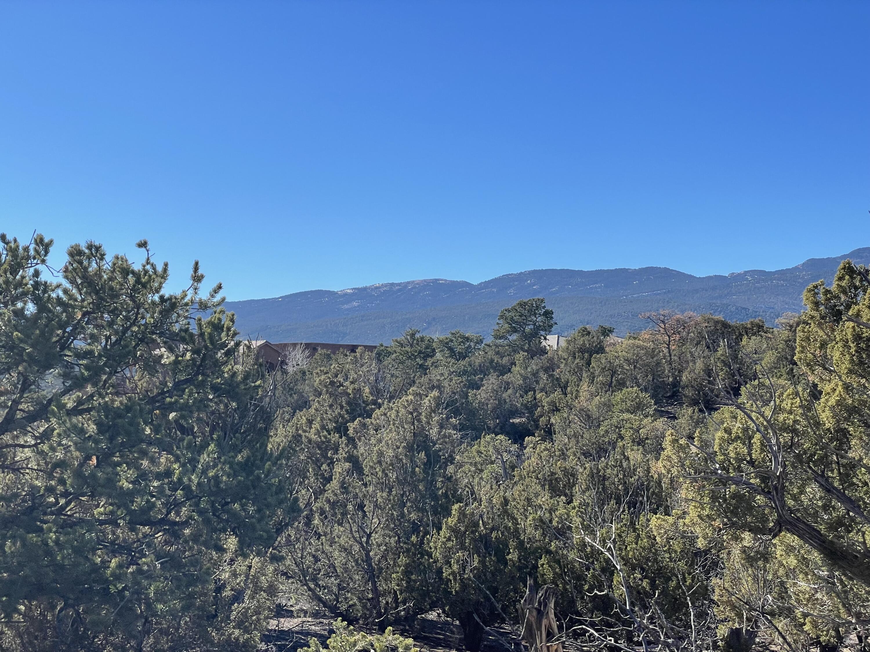 Photo 9 — 71 Raindance Road