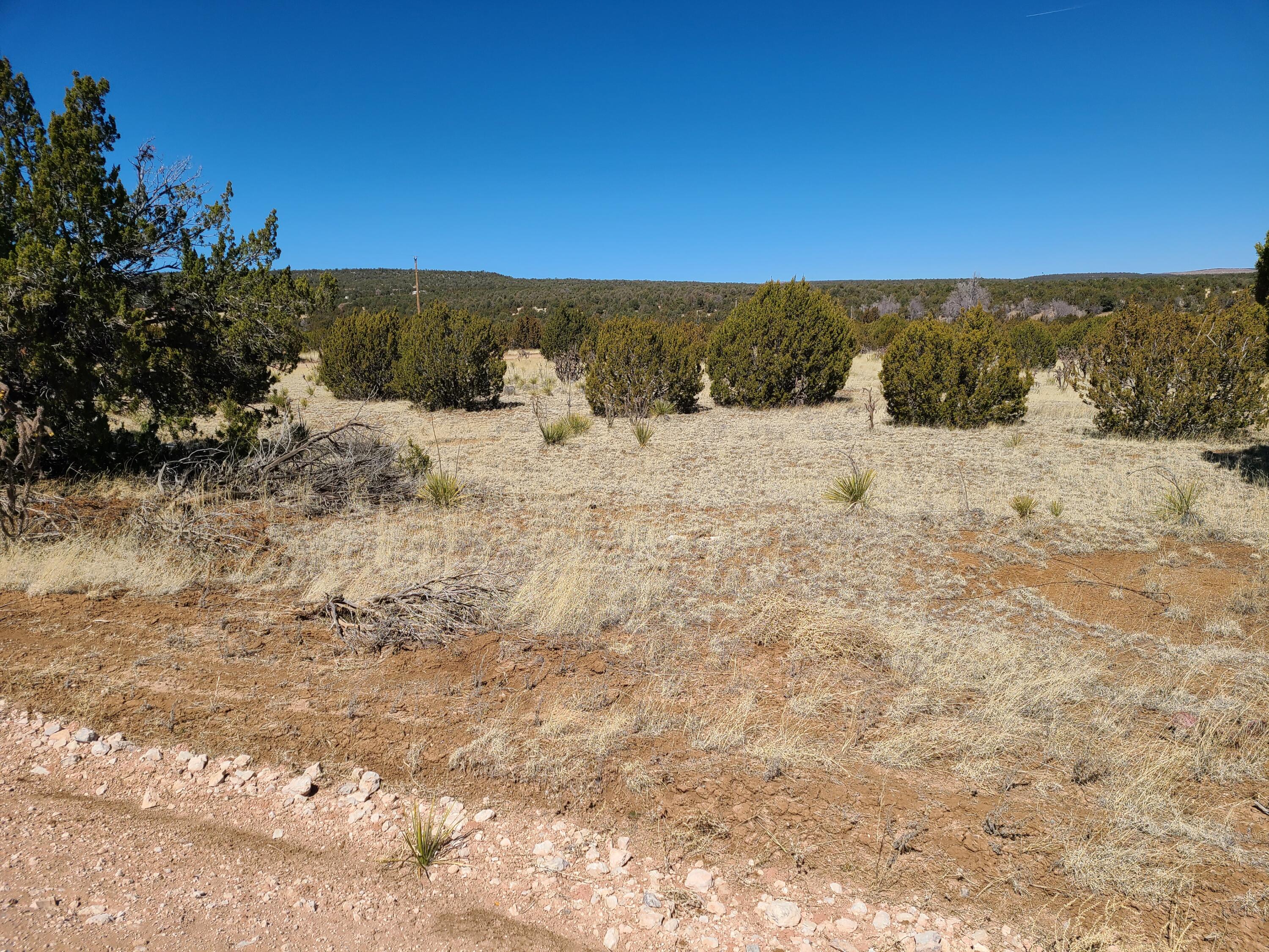Photo 6 — 0 Lakewood Road 20