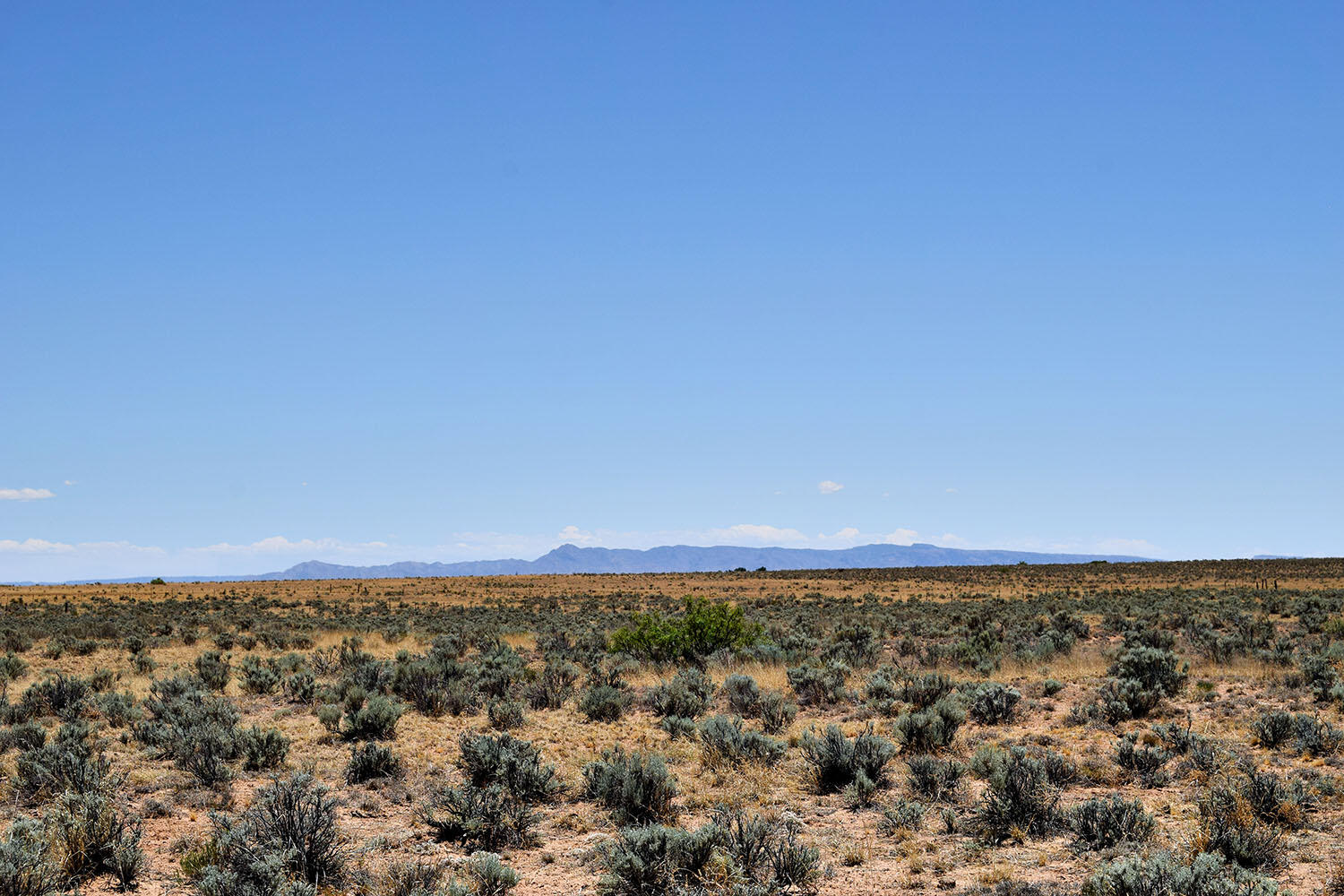Photo 6 — Lot 28 Rancho Rio Grande West 12