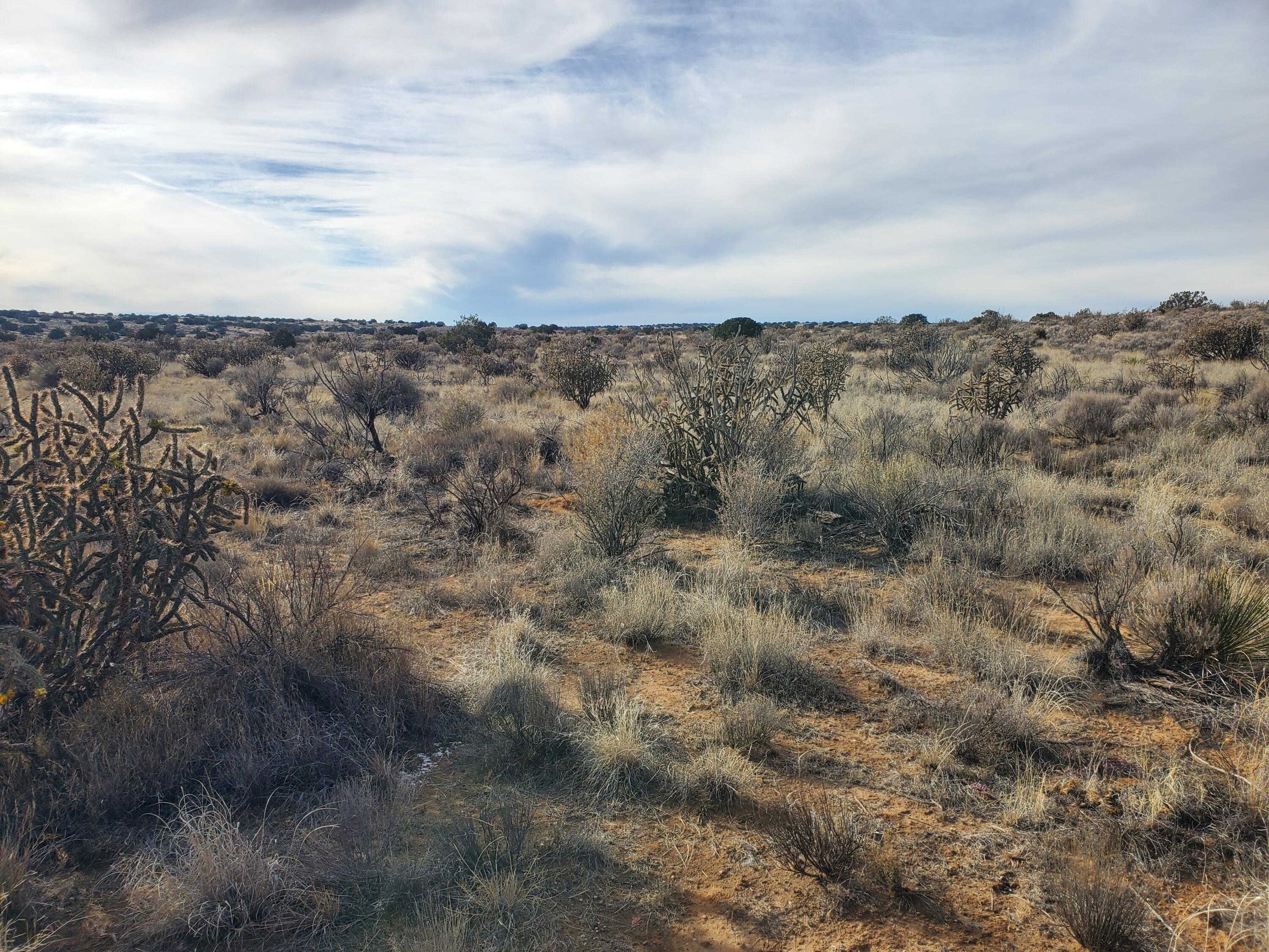 Photo 3 — Lot 24 22nd Street NW