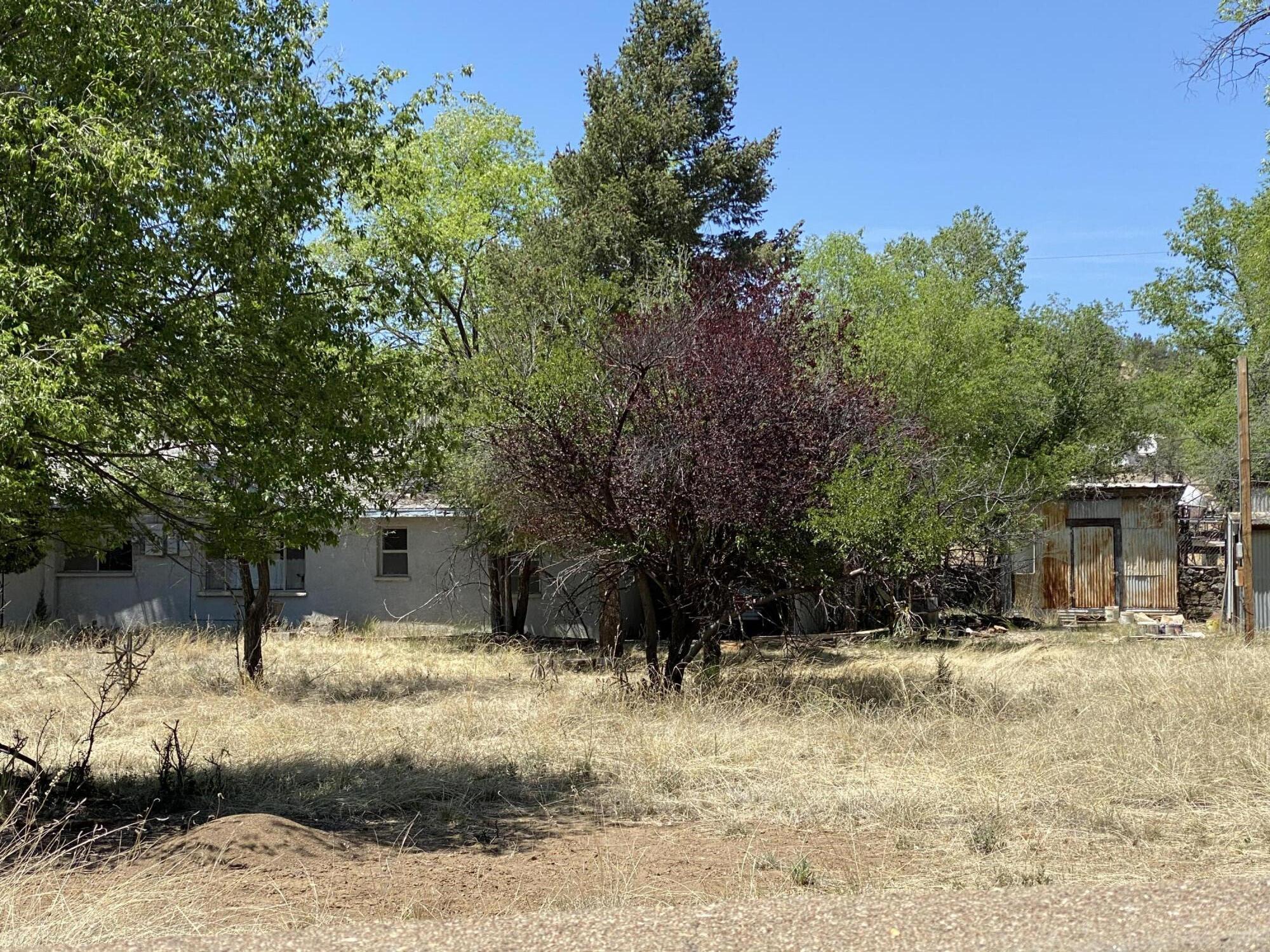 Photo 6 — 5 Coleman Drive
