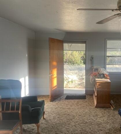 Photo 8 — 5 Coleman Drive