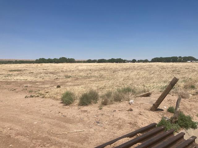 Photo 4 —  Jaramillo Loop