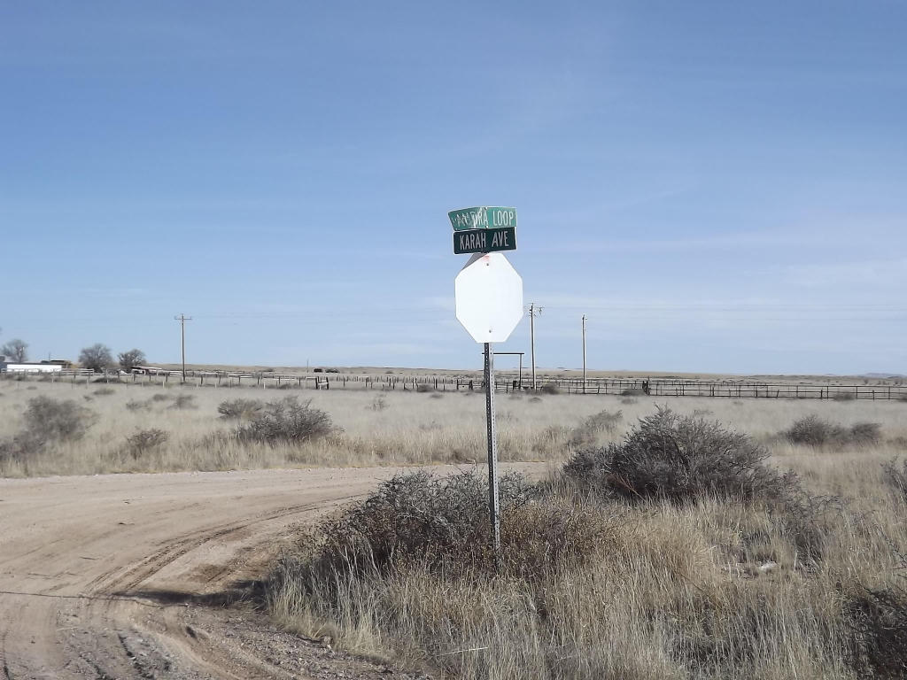 Photo 3 —  AUDRA, BLKS 6 & 7 Loop