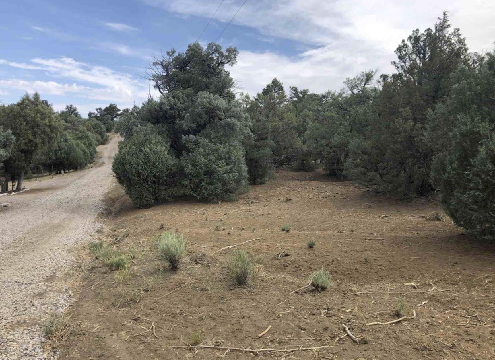 Photo 3 —  S Leaning Lot B