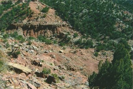 Photo 4 — 70 Bull Canyon Loop