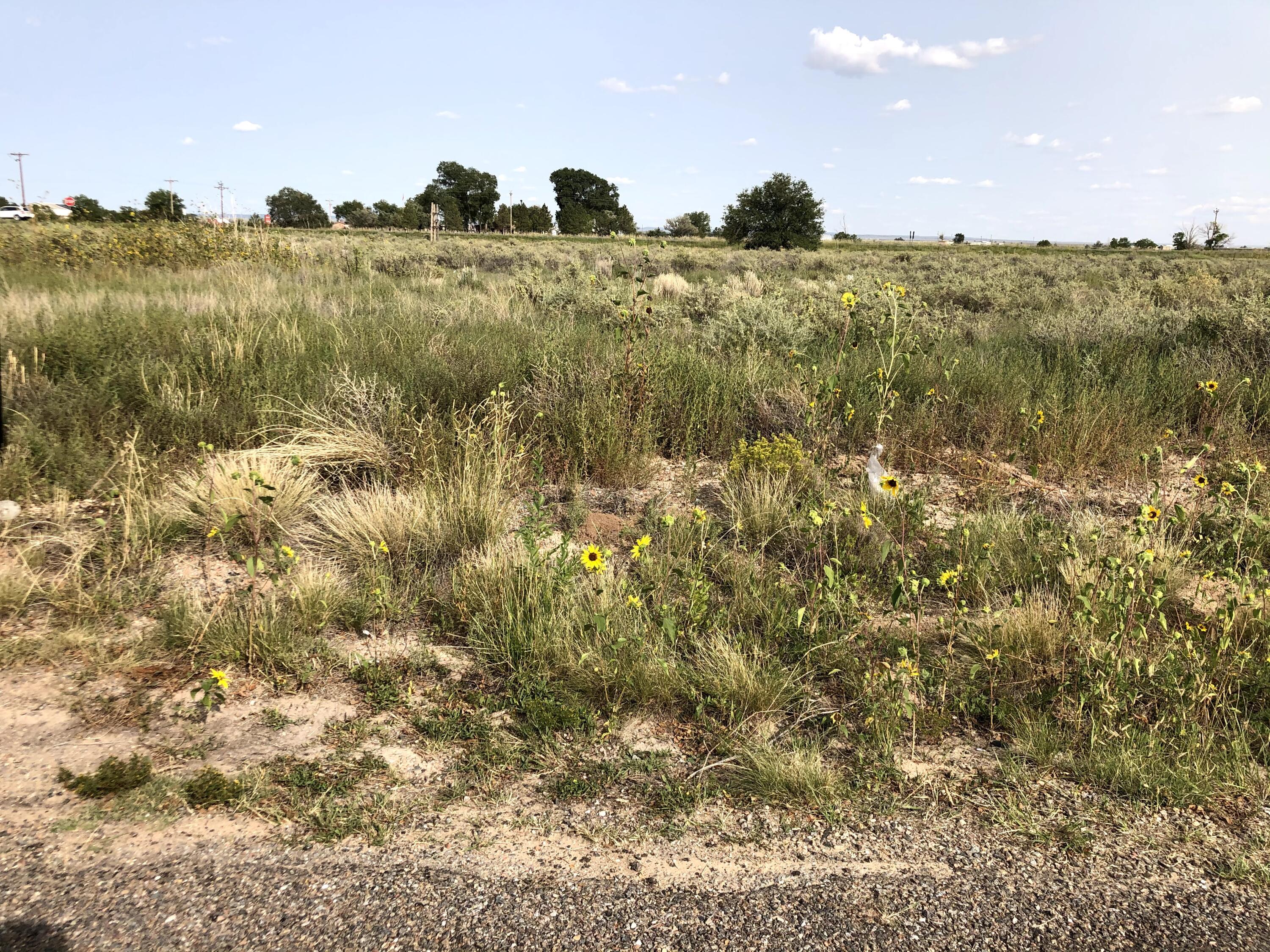 Photo 8 —  Clubhouse Road