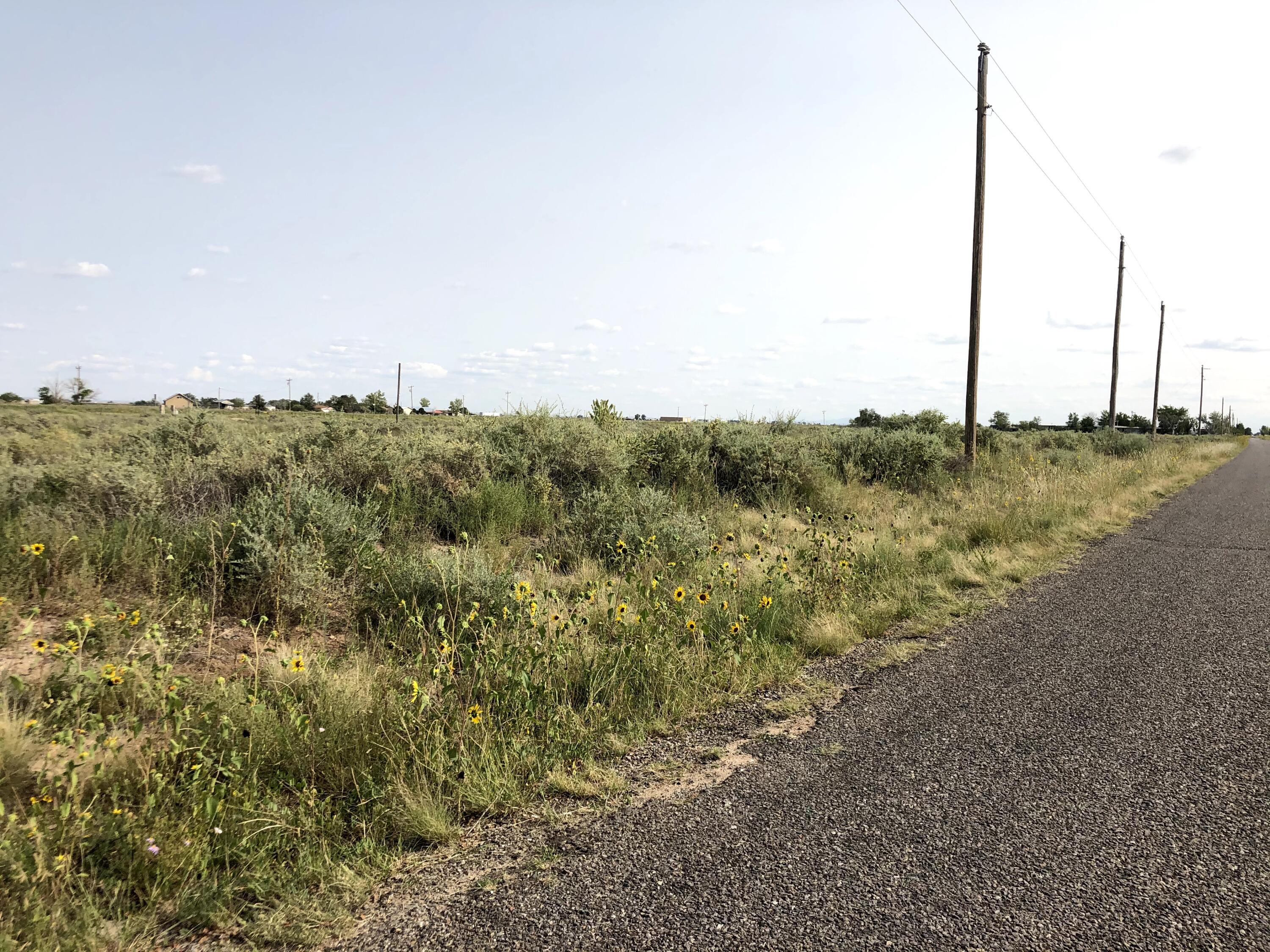 Photo 7 —  Clubhouse Road