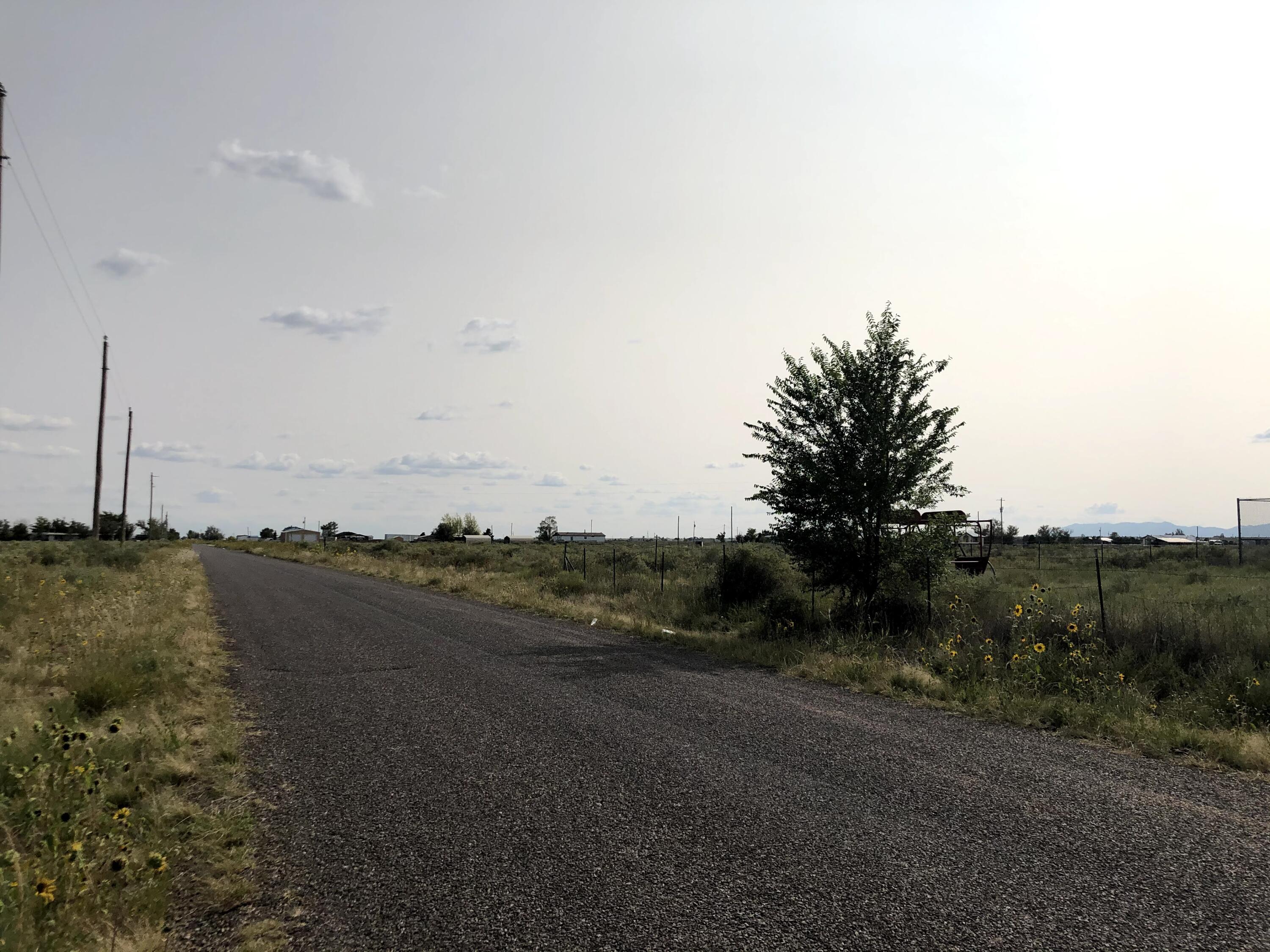 Photo 6 —  Clubhouse Road