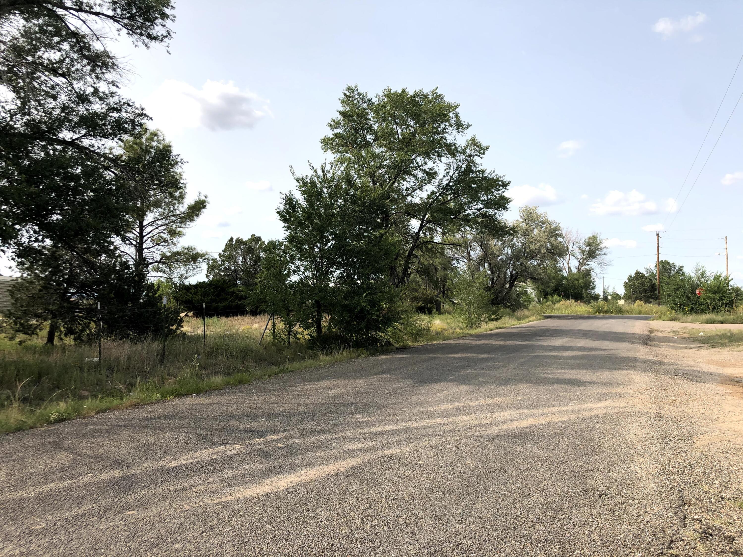 Photo 5 —  Clubhouse Road