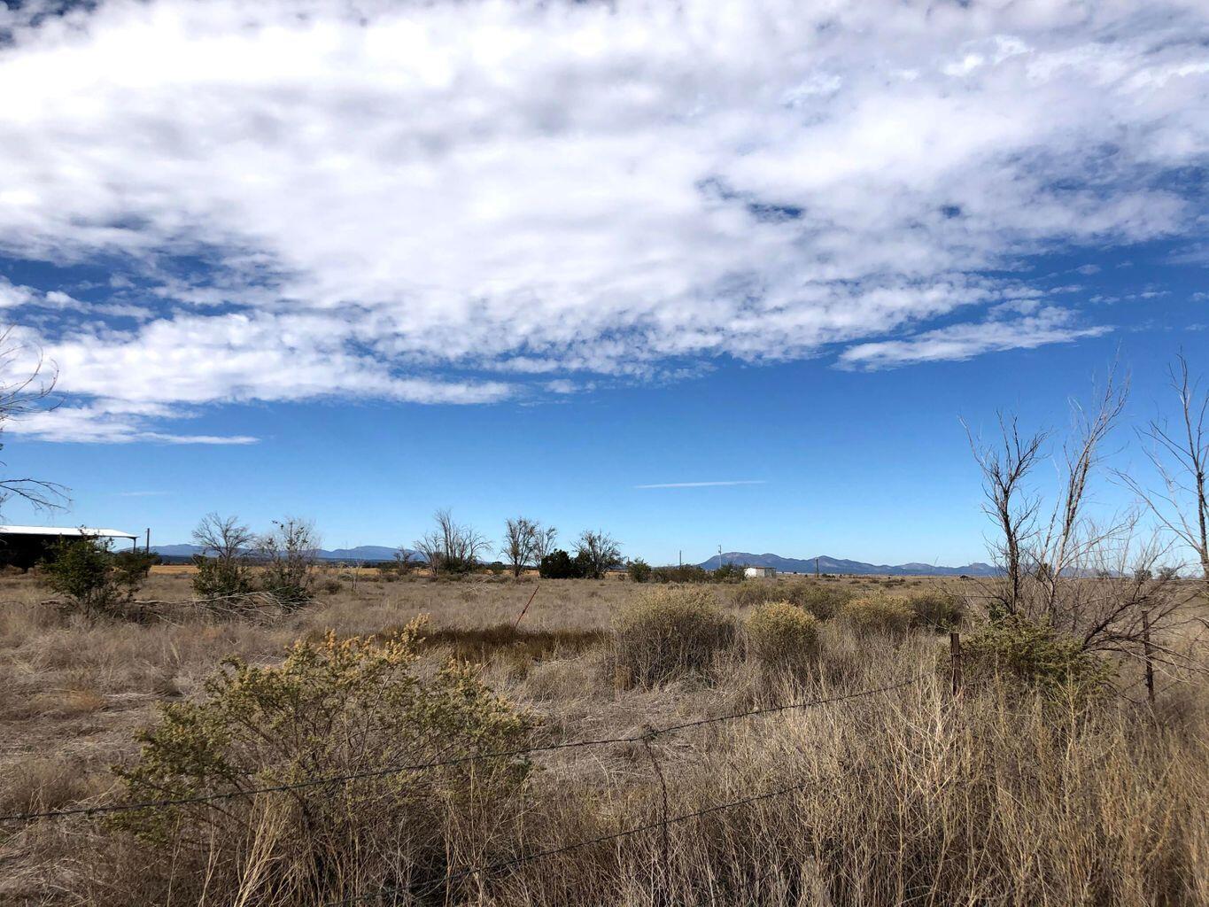 Photo 5 —  Colletti Drive (A)