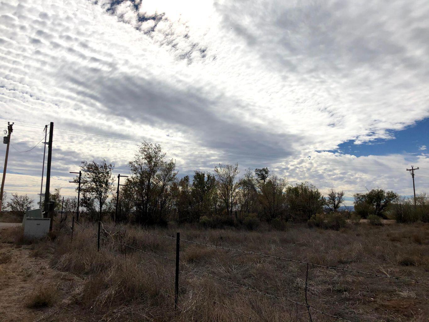 Photo 4 —  Colletti Drive (A)