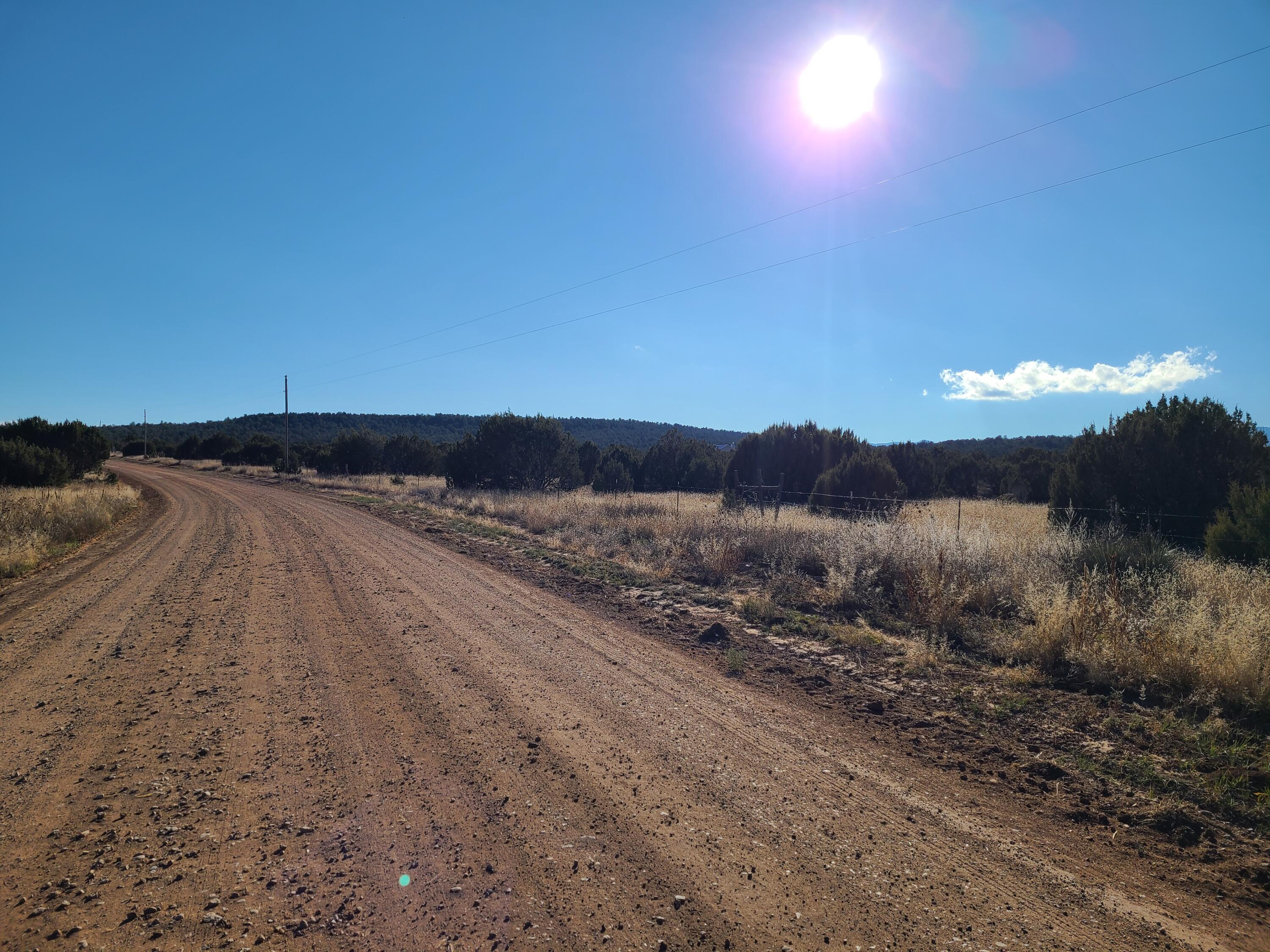 Photo 5 — 0 Rosewood Drive 11