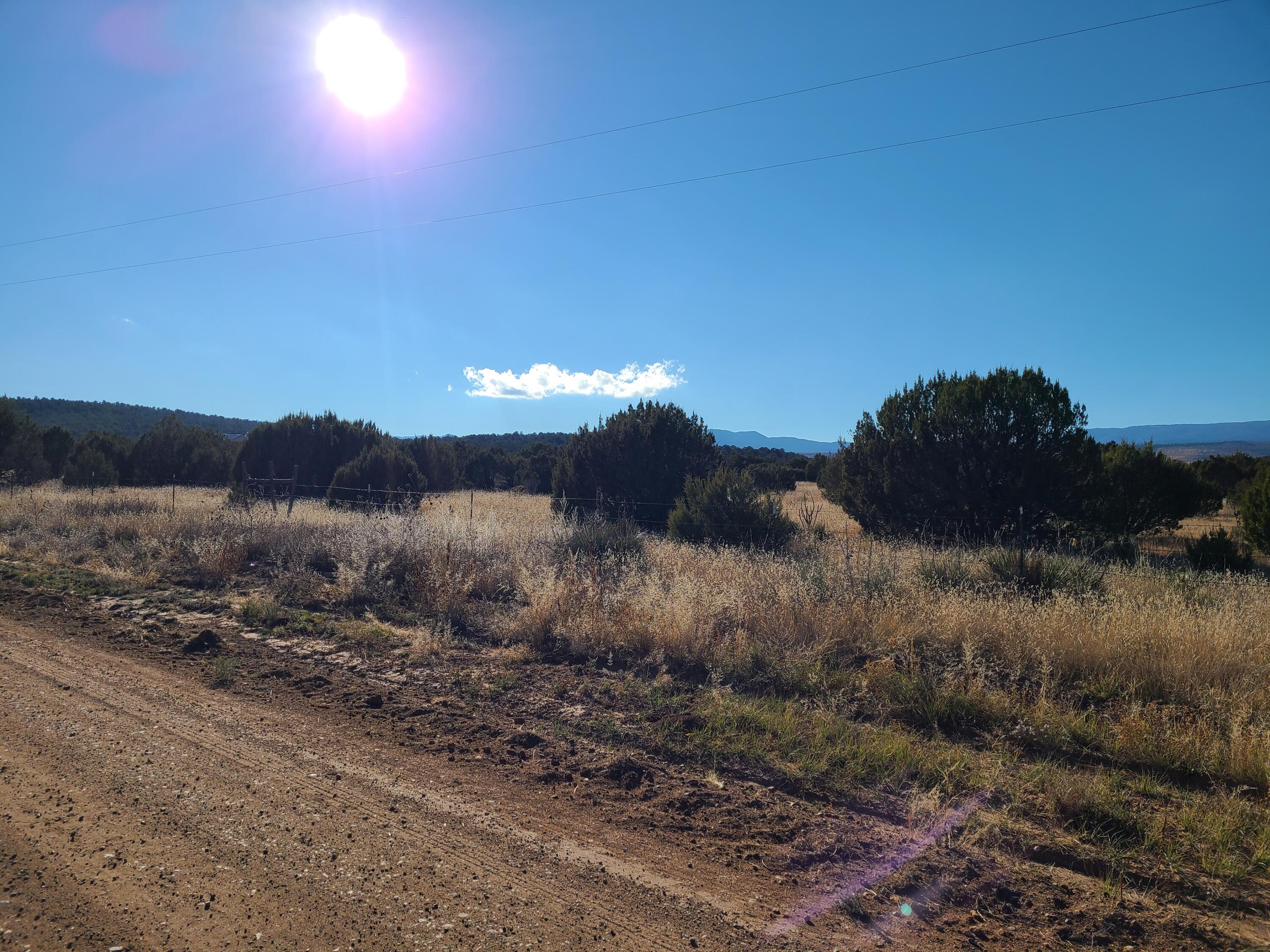 Photo 6 — 0 Rosewood Drive 11