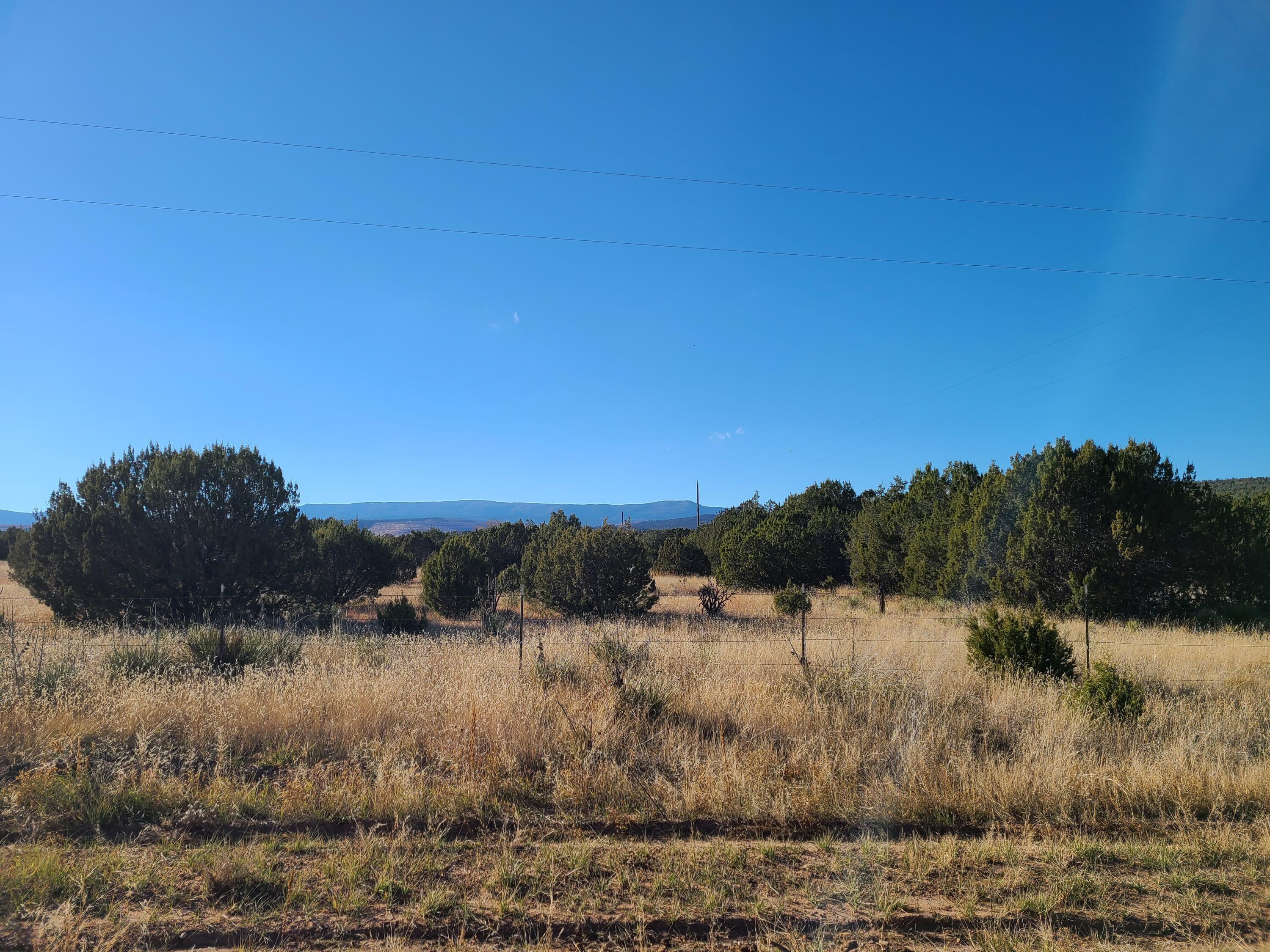 Photo 7 — 0 Rosewood Drive 11