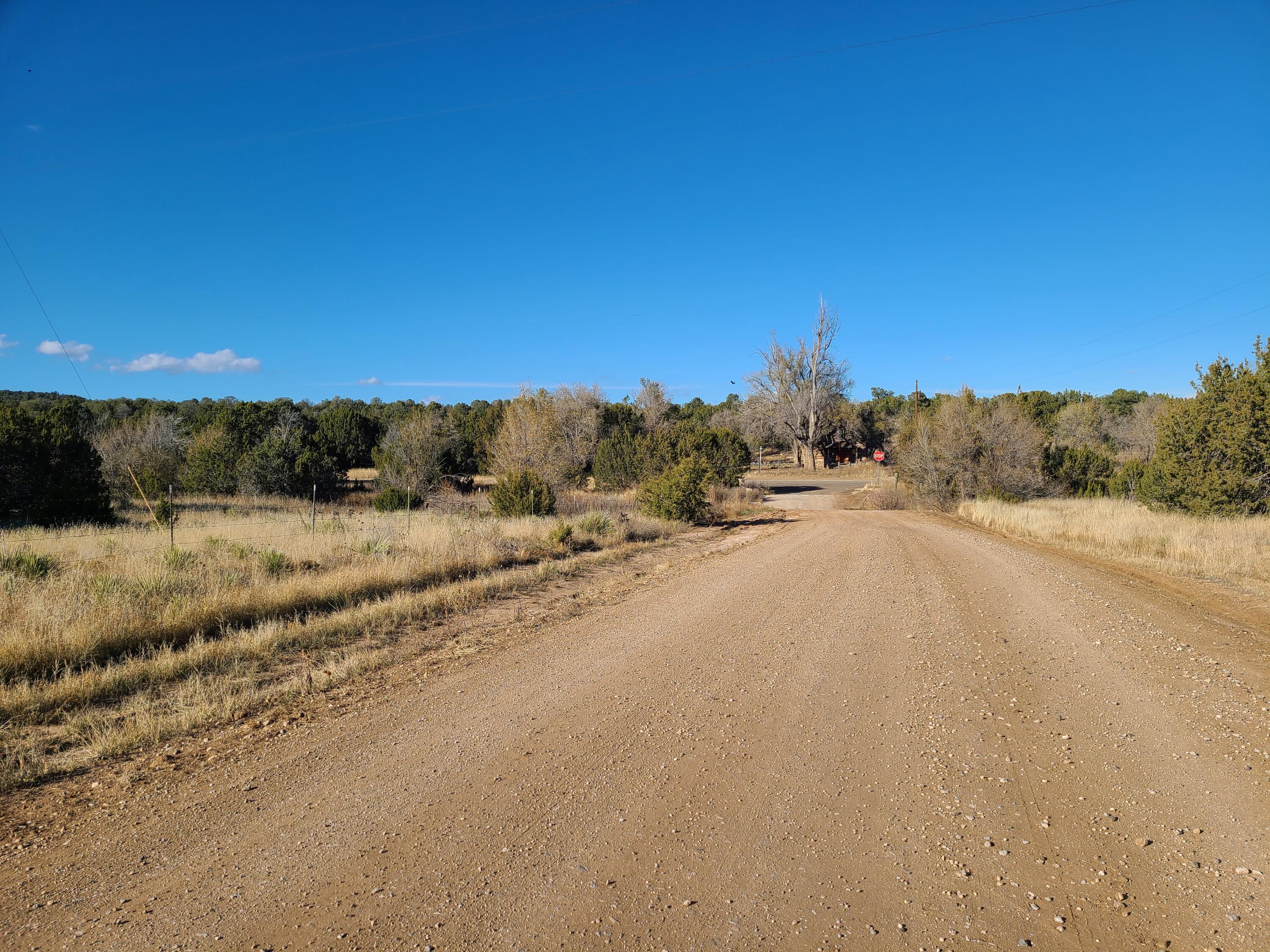 Photo 8 — 0 Rosewood Drive 11