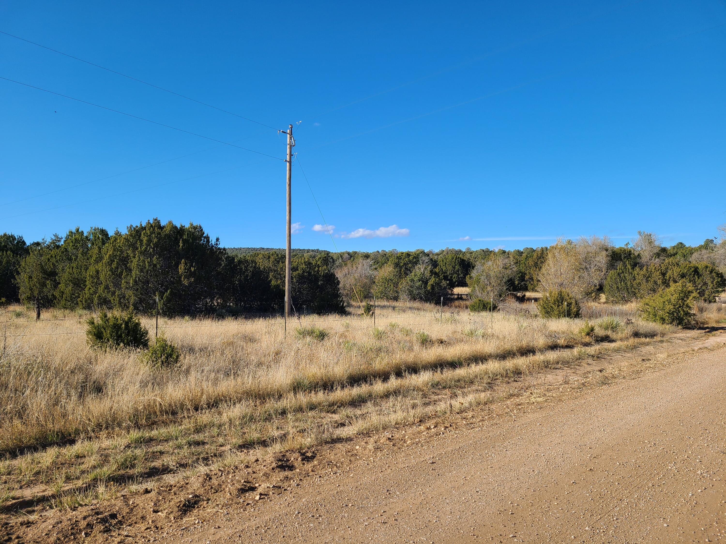 Photo 9 — 0 Rosewood Drive 11