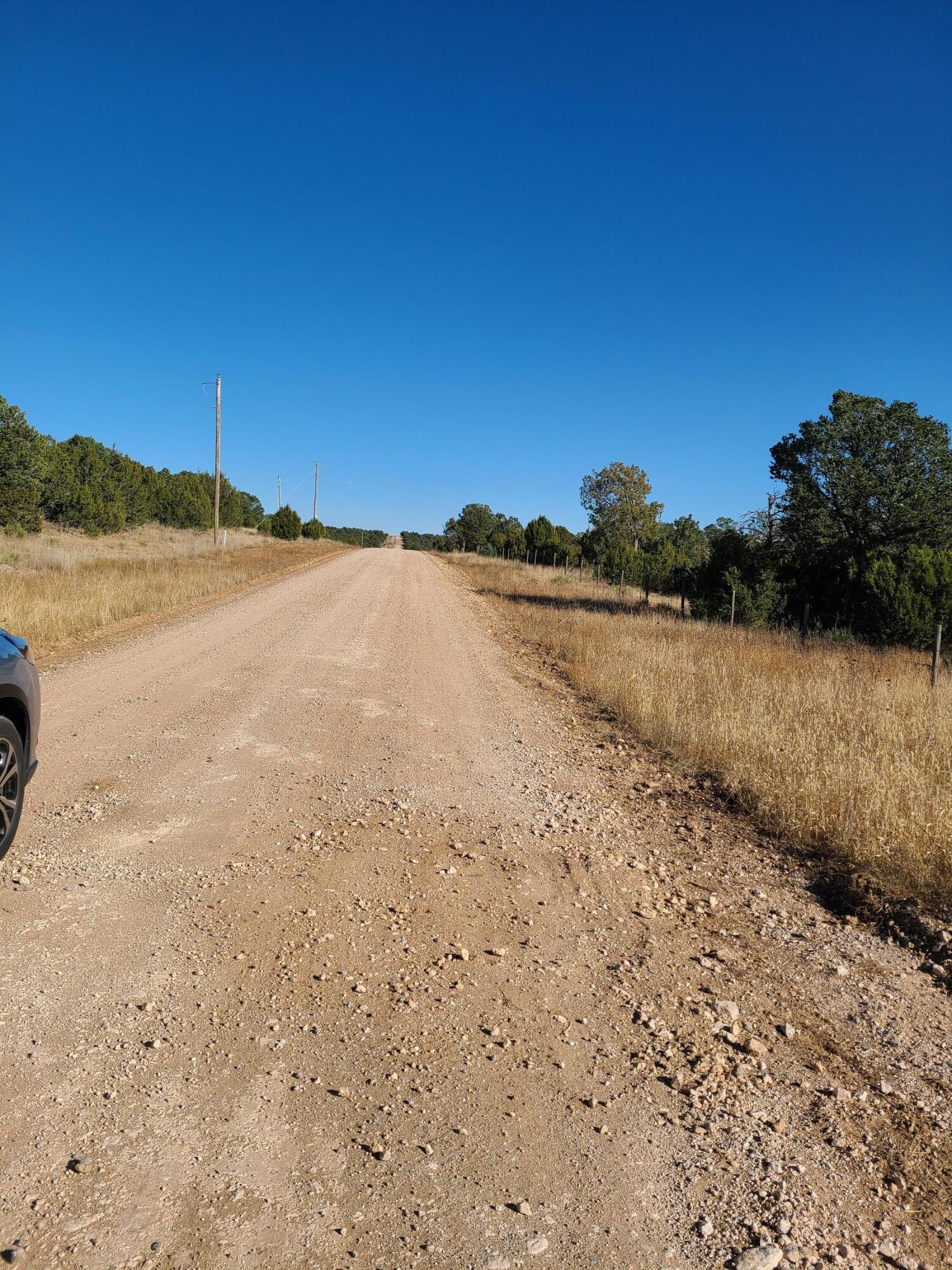 Photo 12 — 0 County Rd A012 14