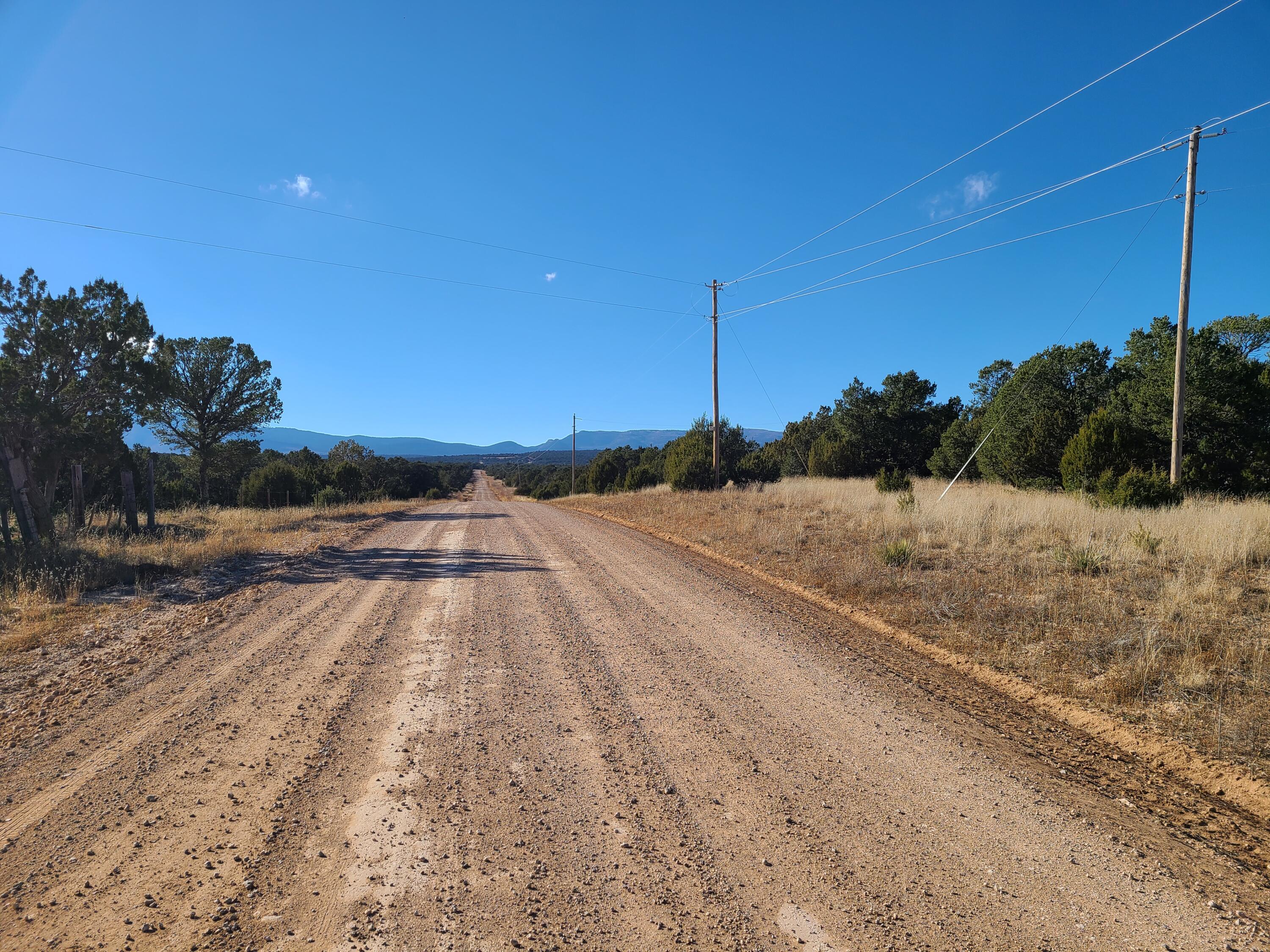 Photo 2 — 0 County Rd A012 14