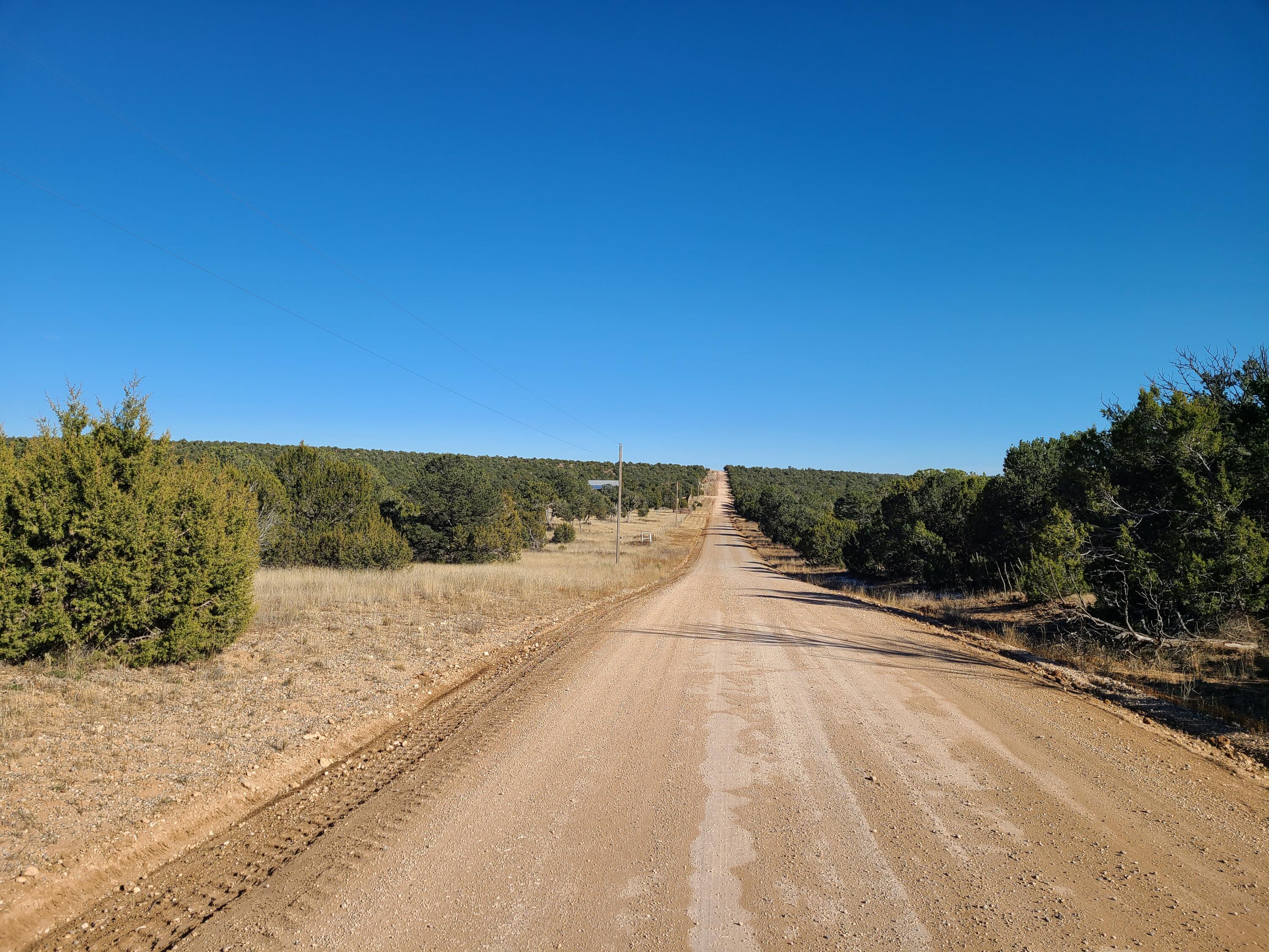 Photo 3 — 0 County Rd A012 14