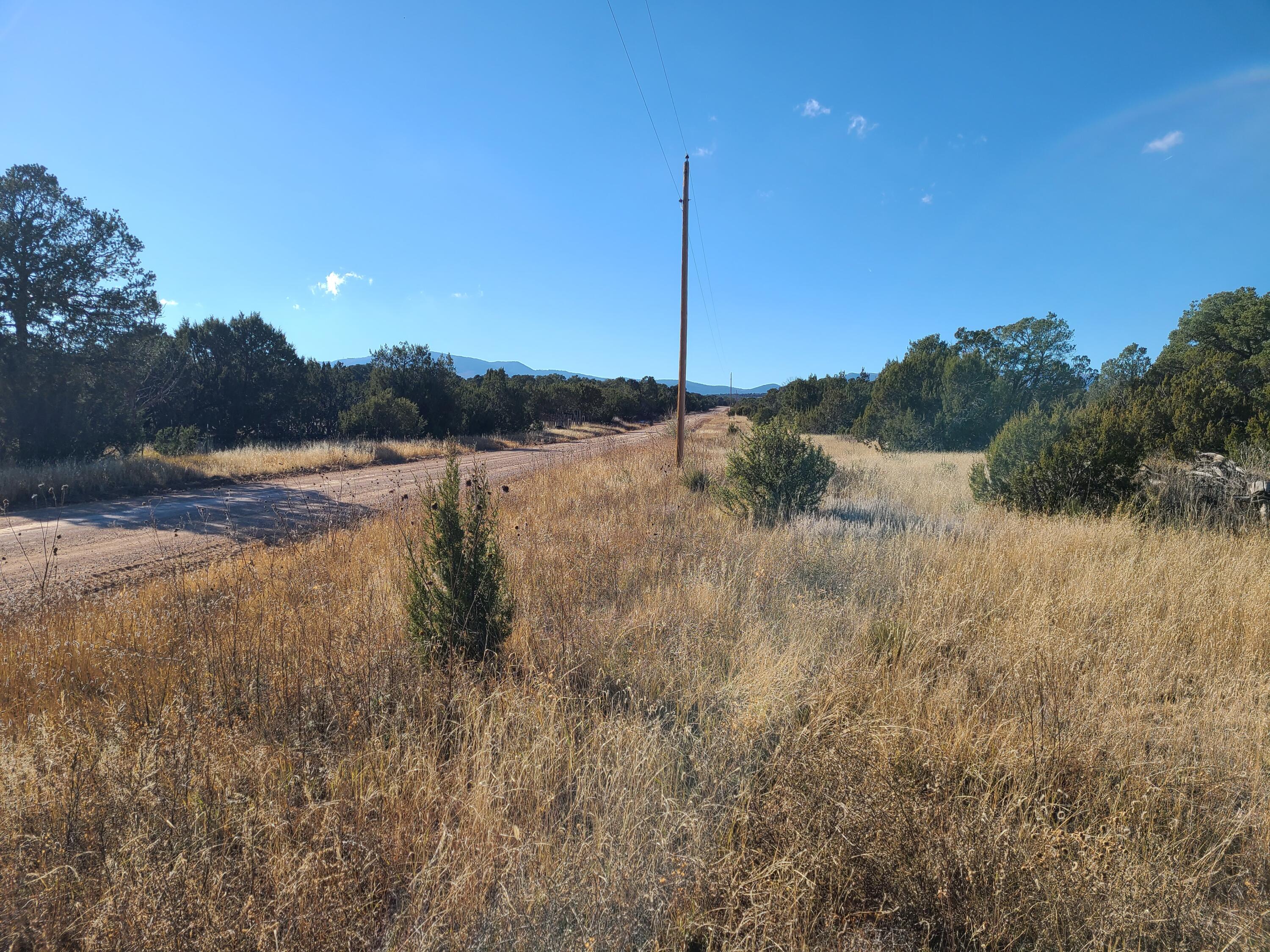 Photo 6 — 0 County Rd A012 14
