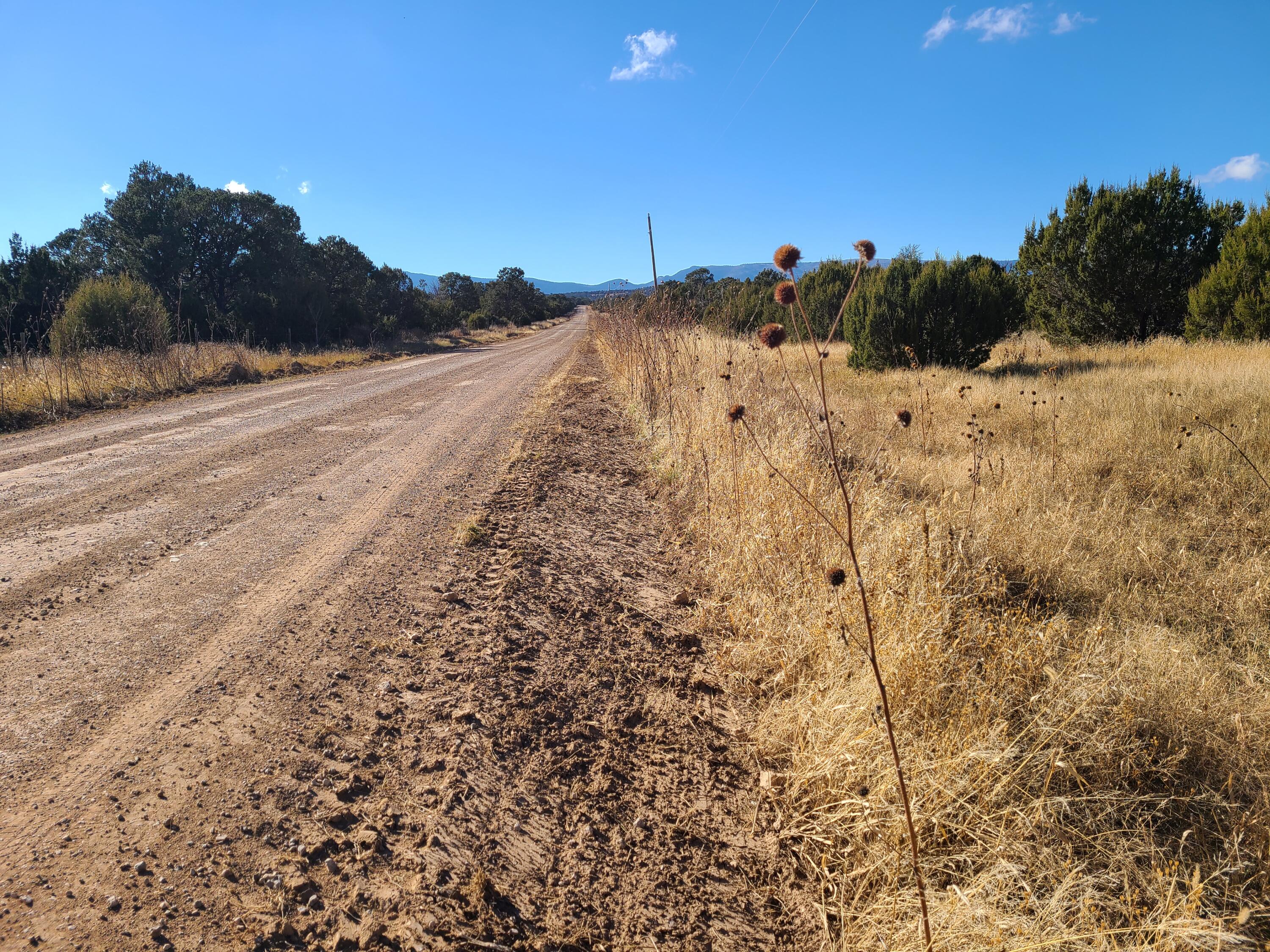 Photo 7 — 0 County Rd A012 14