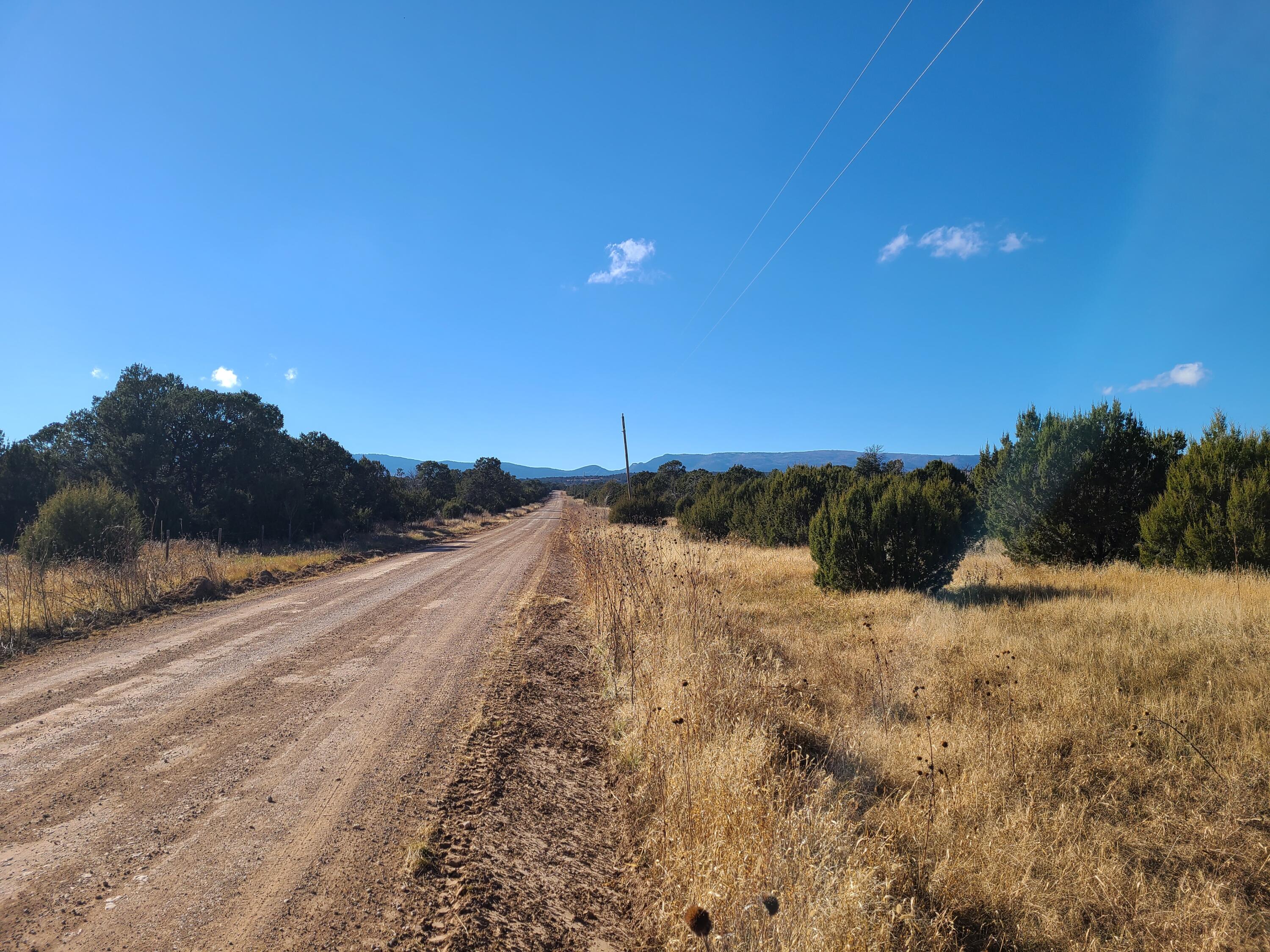 Photo 8 — 0 County Rd A012 14