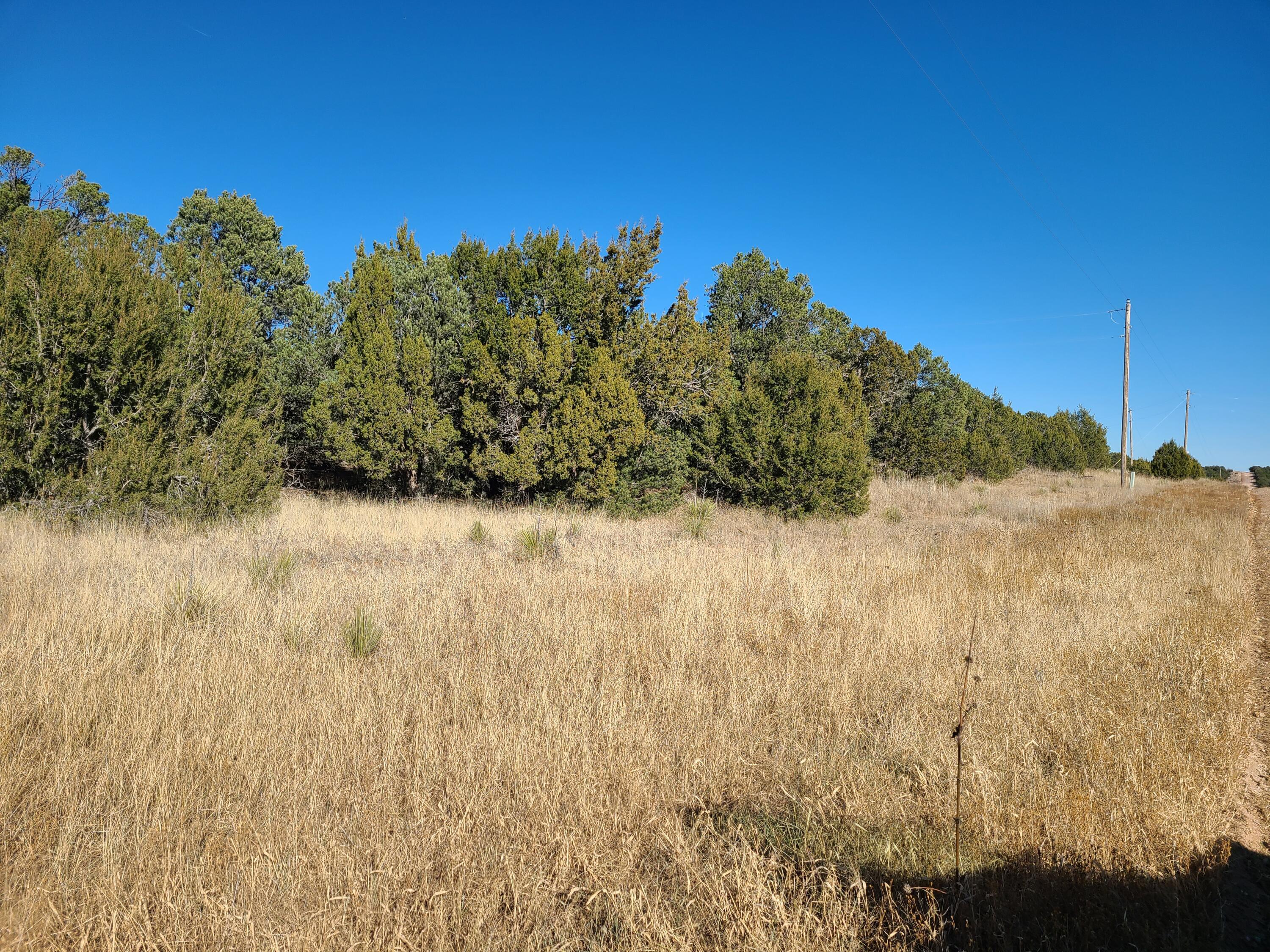 Photo 9 — 0 County Rd A012 14