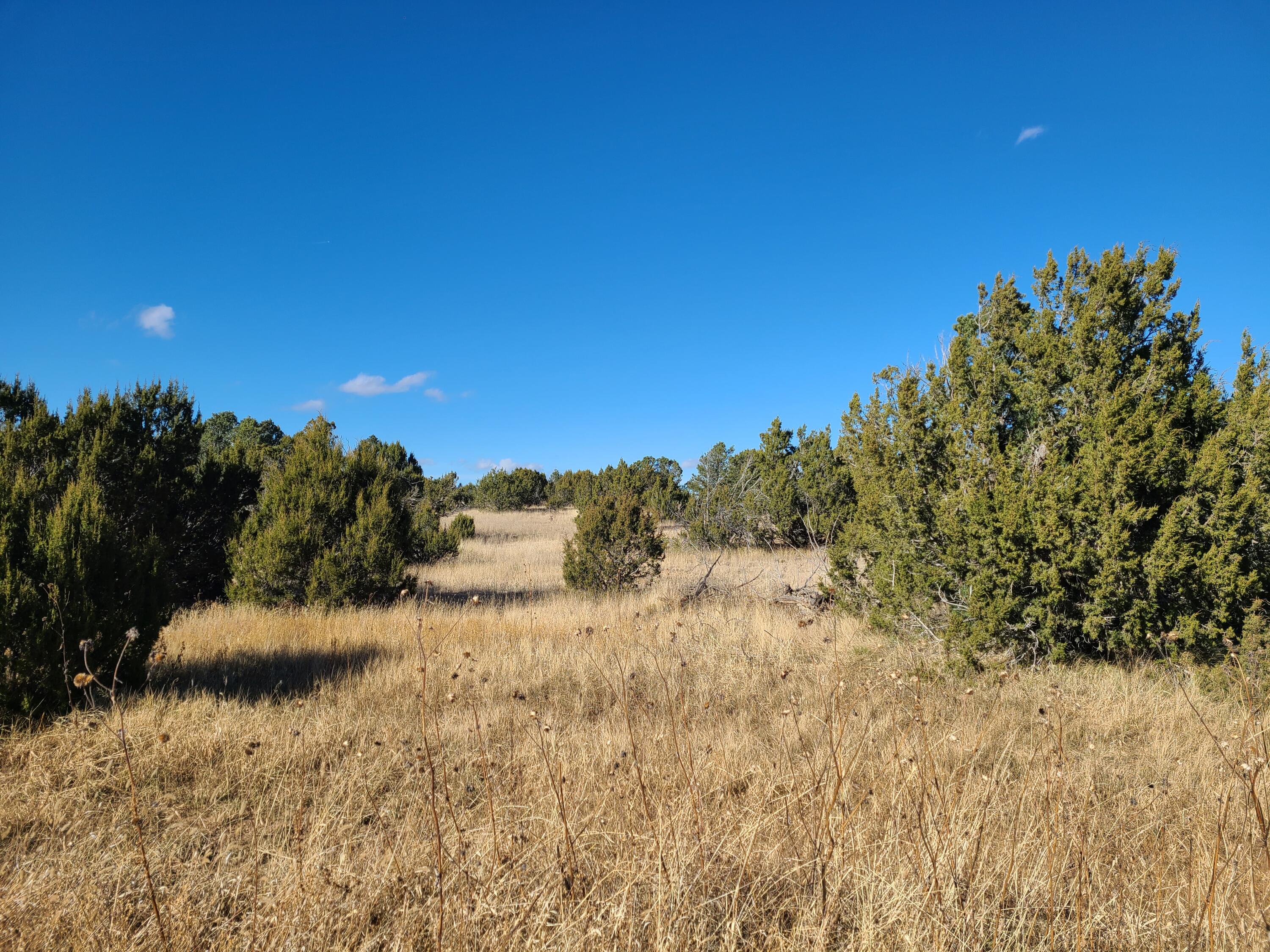 Photo 10 — 0 County Rd A012 14