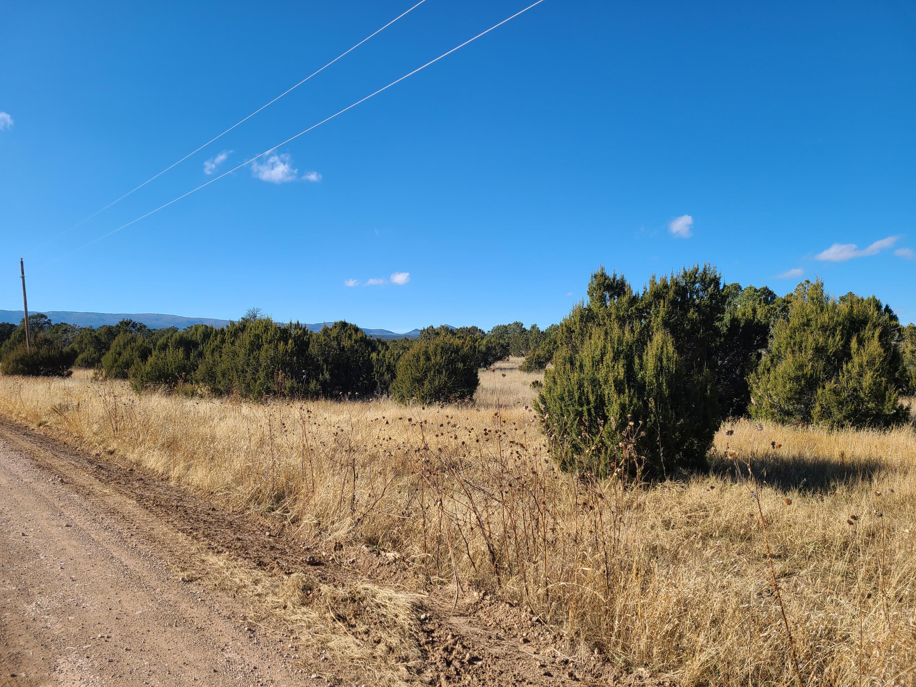 Photo 11 — 0 County Rd A012 14