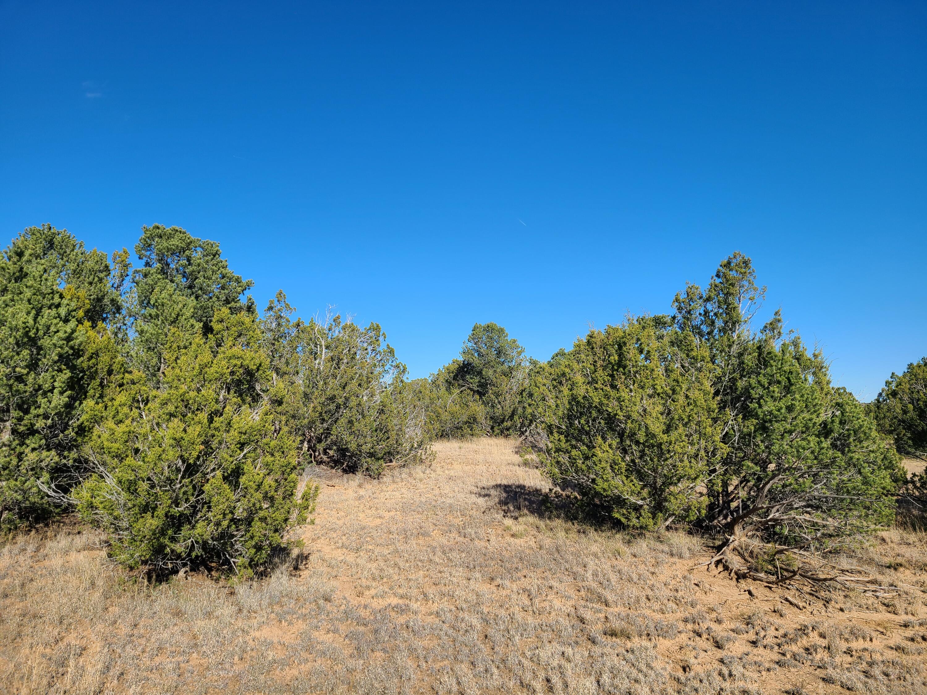 Photo 13 — 0 County Rd A012 15