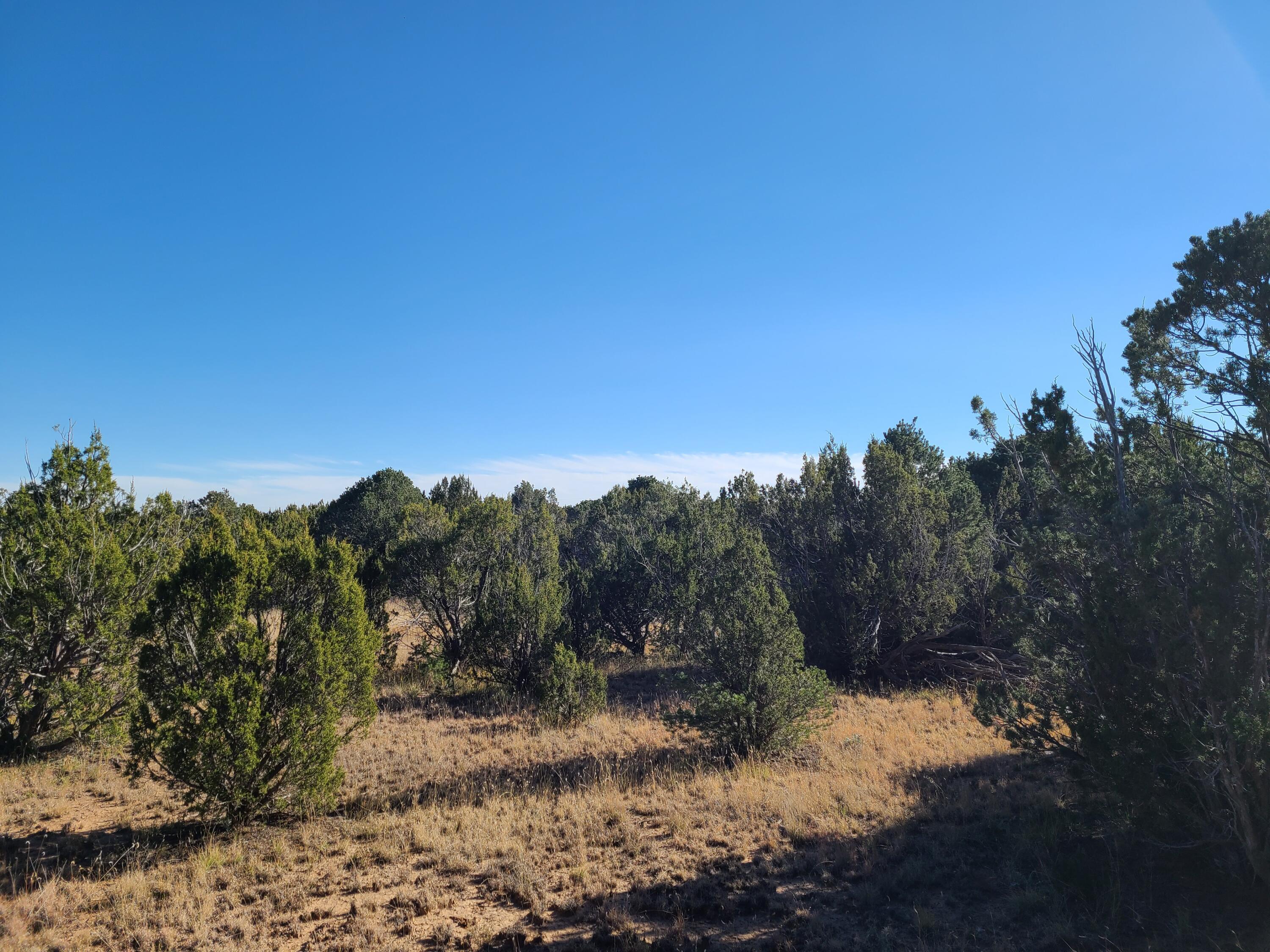 Photo 2 — 0 County Rd A012 15