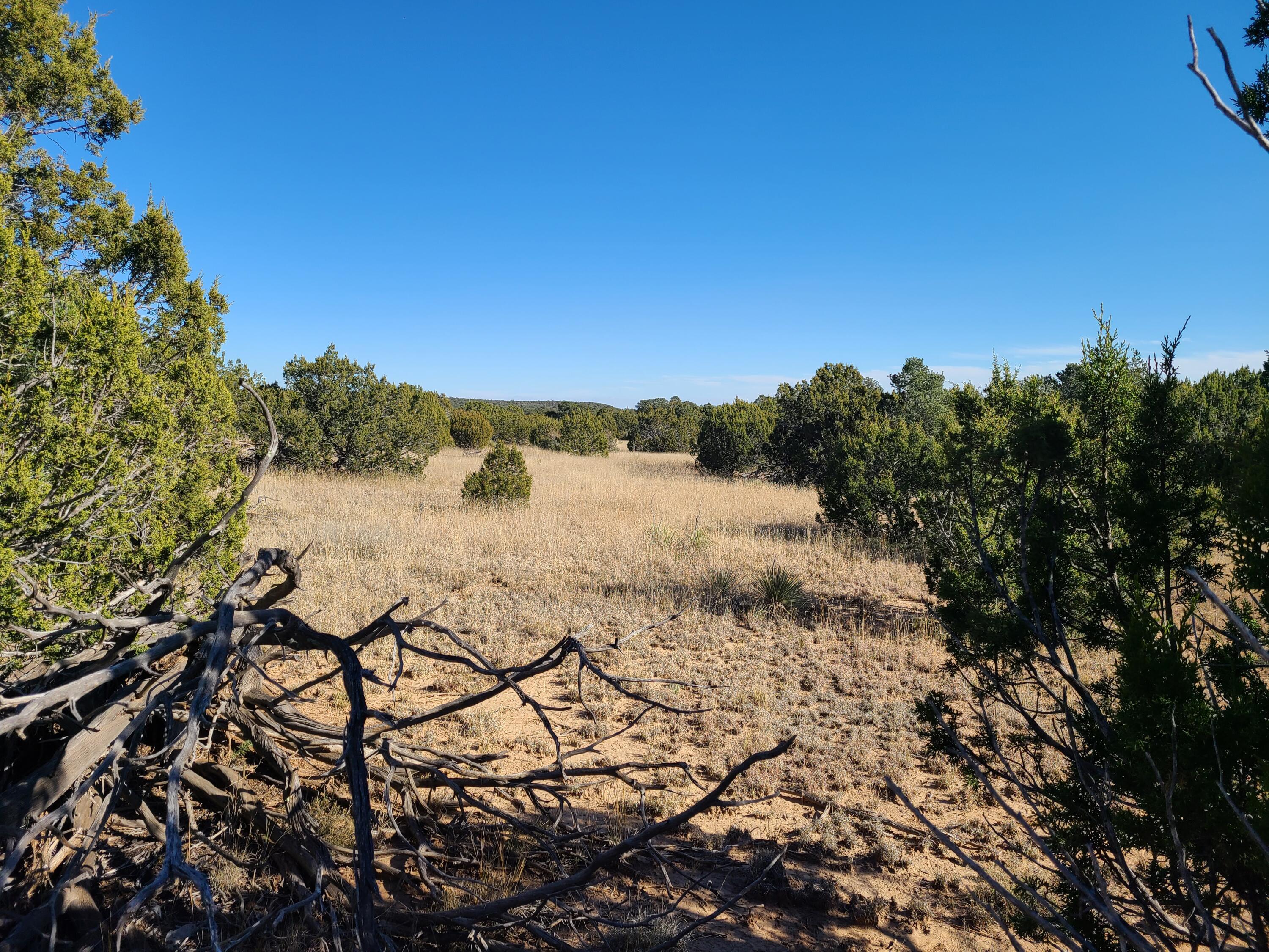 Photo 3 — 0 County Rd A012 15