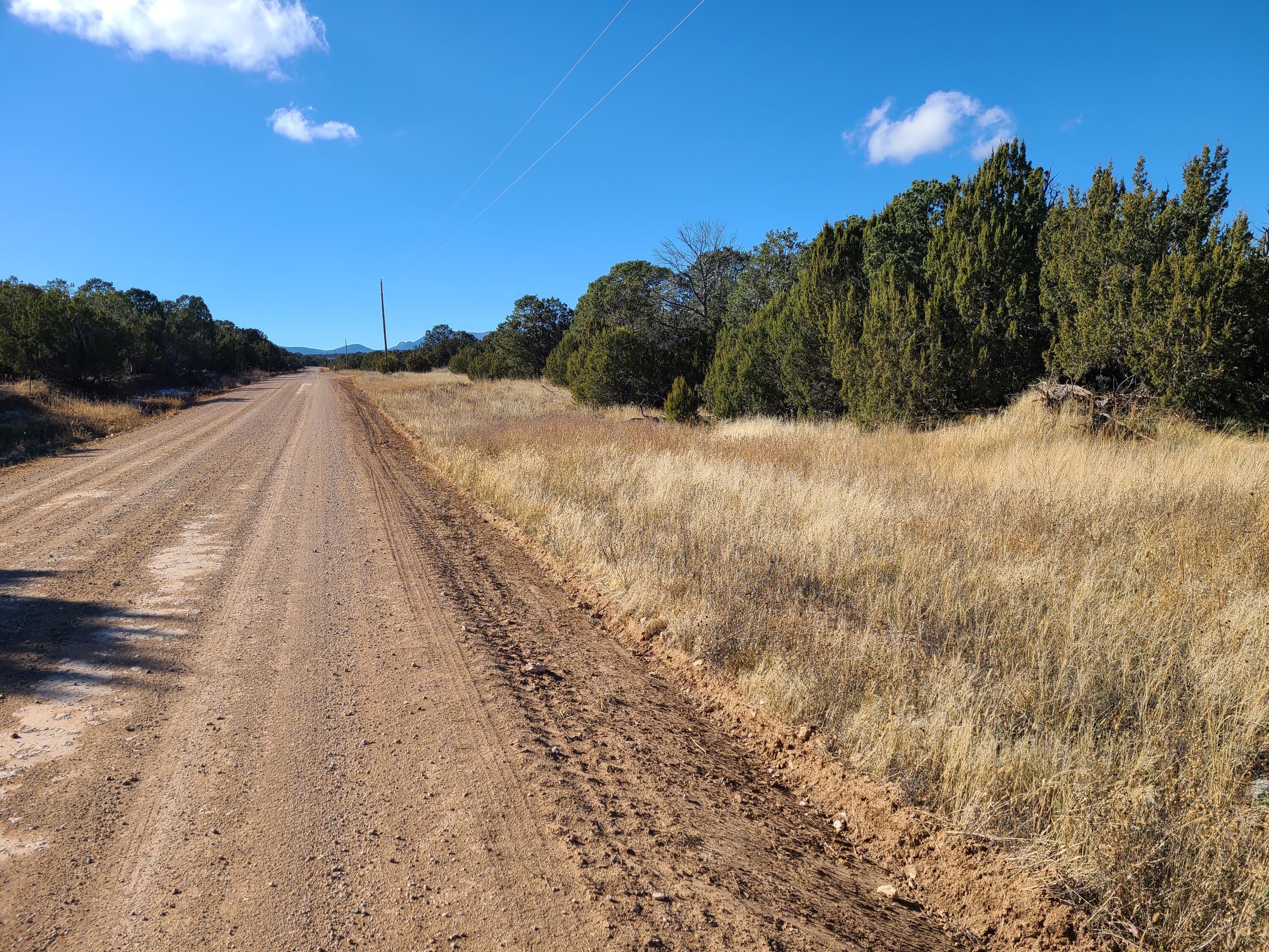 Photo 4 — 0 County Rd A012 15