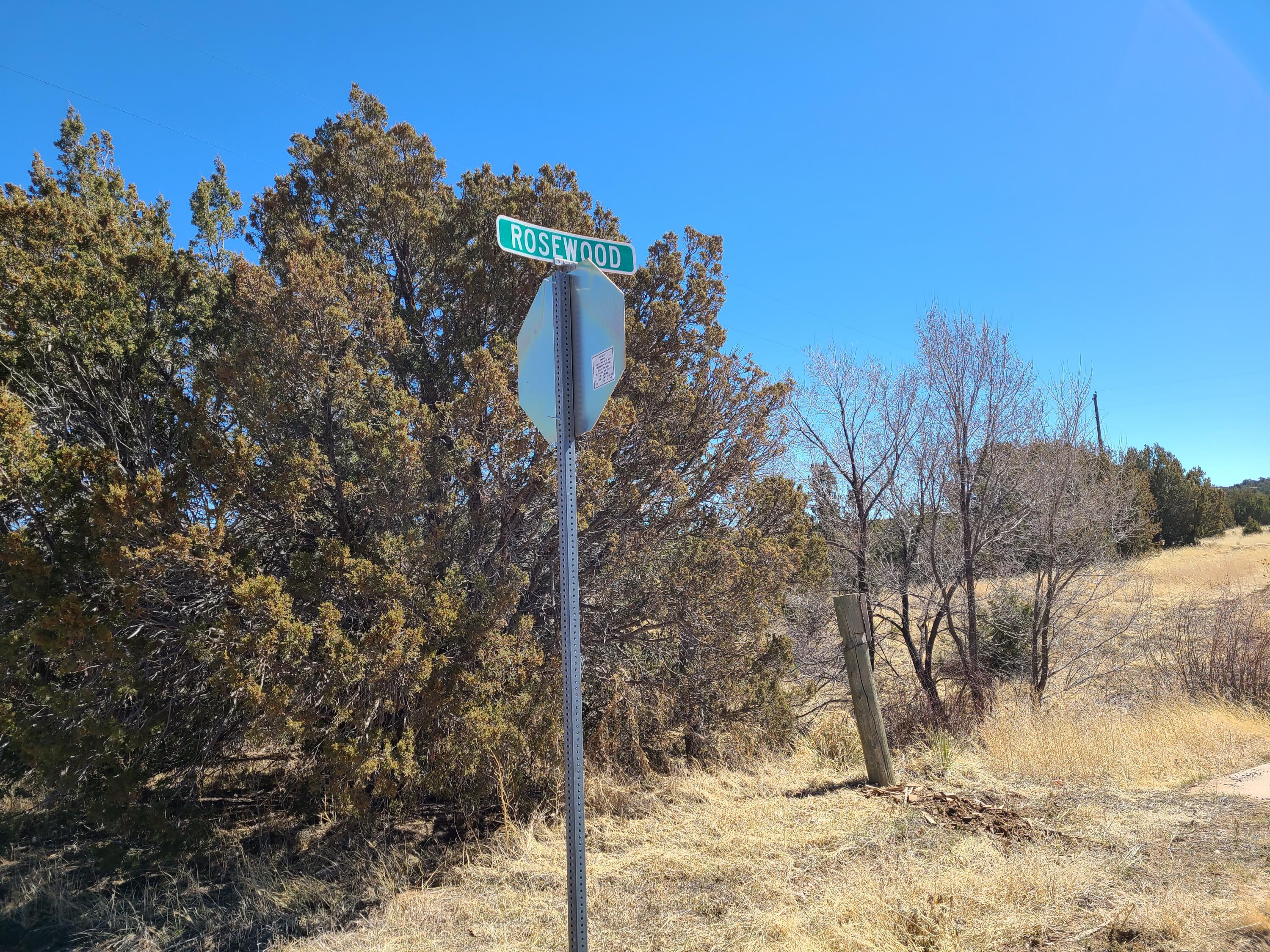 Photo 5 — 0 County Rd A012 15