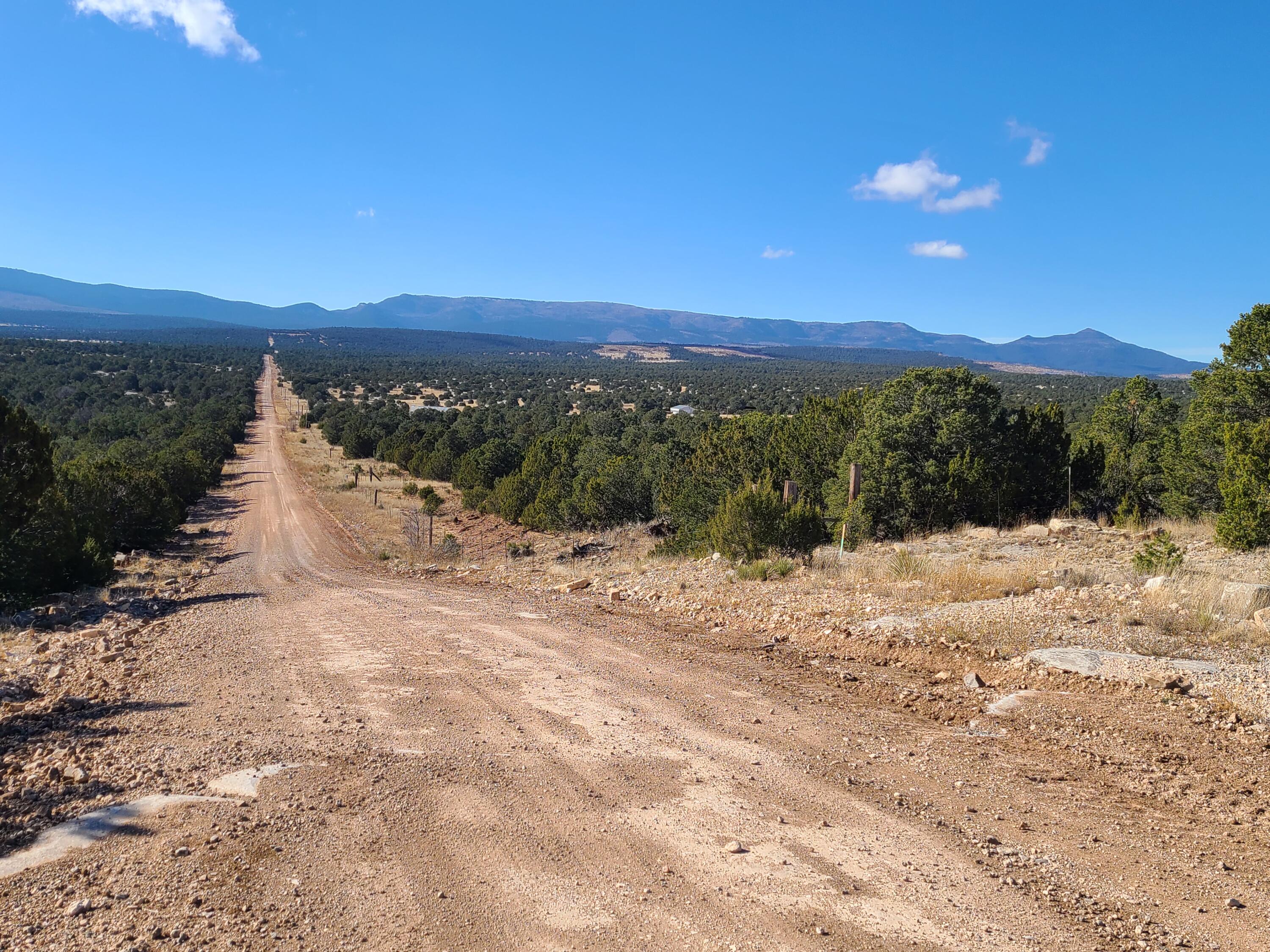 Photo 10 — 0 County Rd A012 15