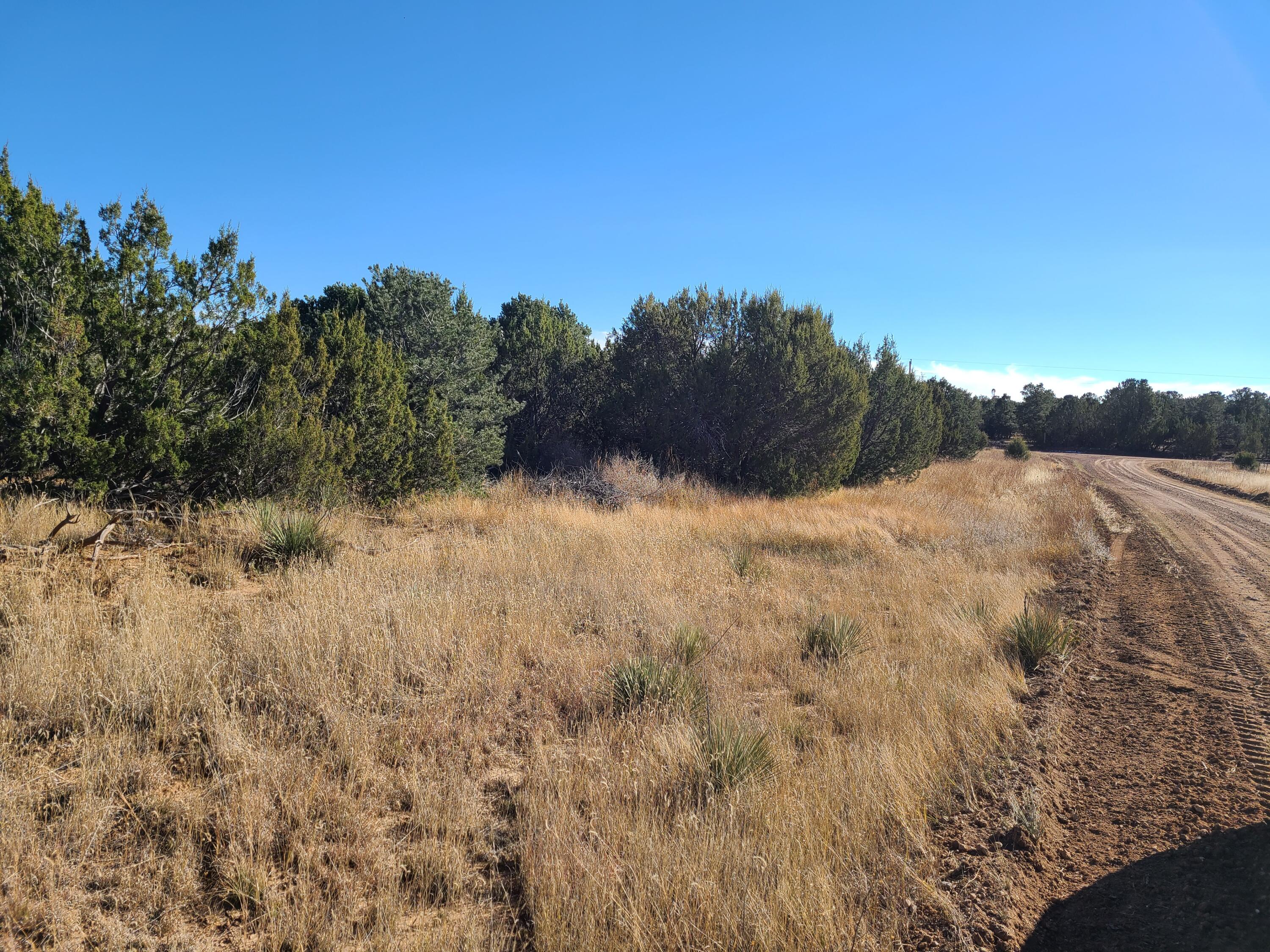 Photo 11 — 0 County Rd A012 15