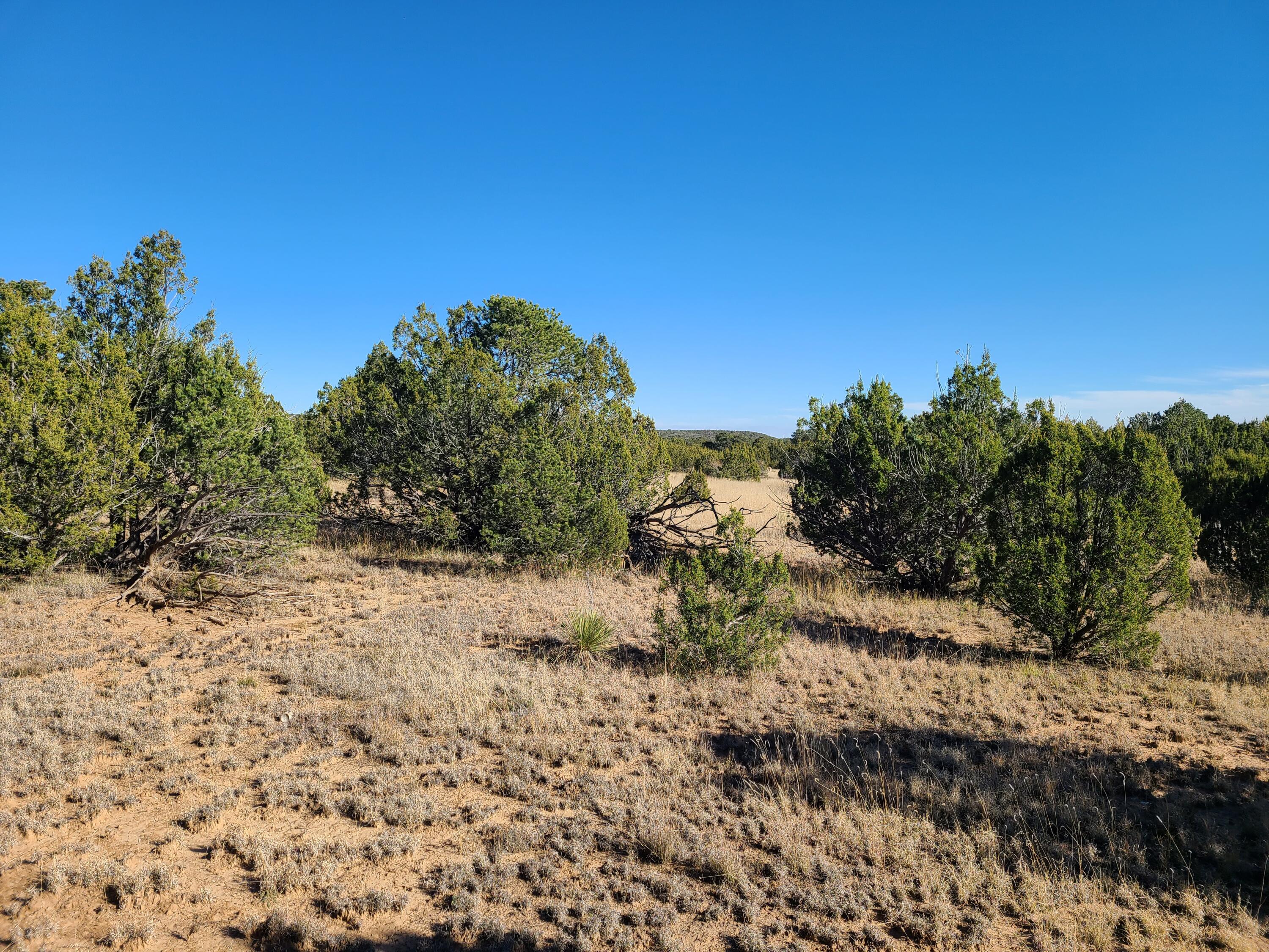 Photo 12 — 0 County Rd A012 15
