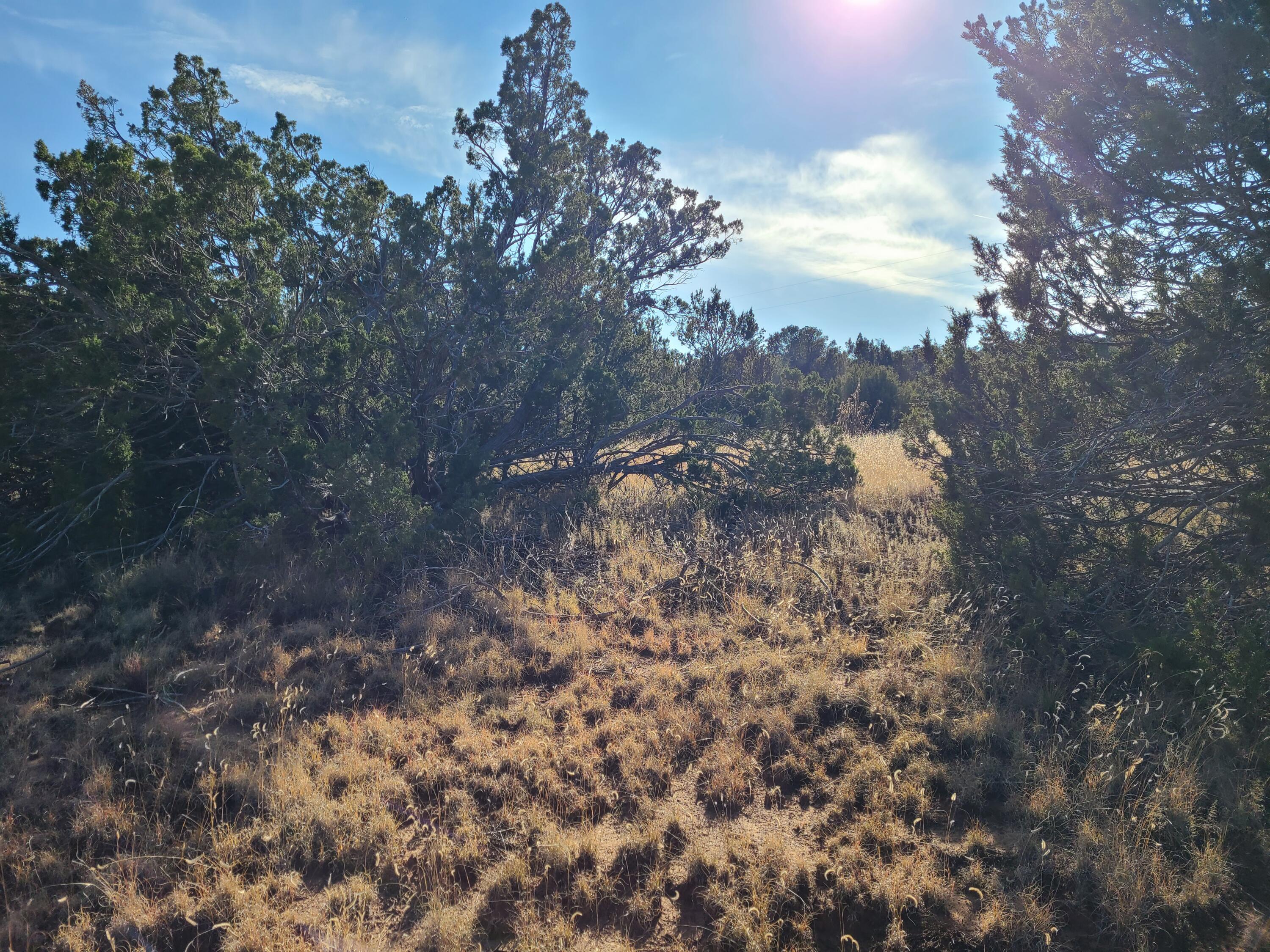 Photo 6 — 0 Rosewood Drive 12