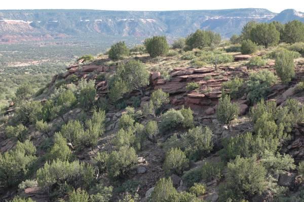 Photo 5 — 18 Mesquite Lane