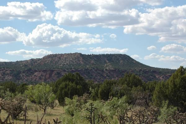Photo 9 — 18 Mesquite Lane