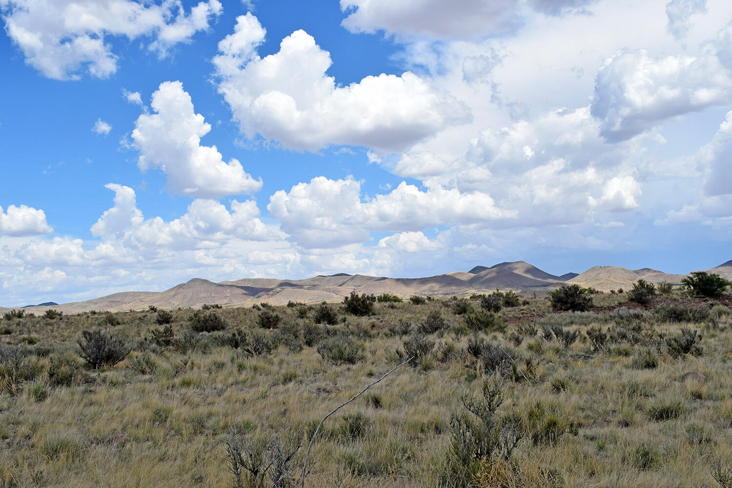 Photo 18 — 205 Muledeer Trail