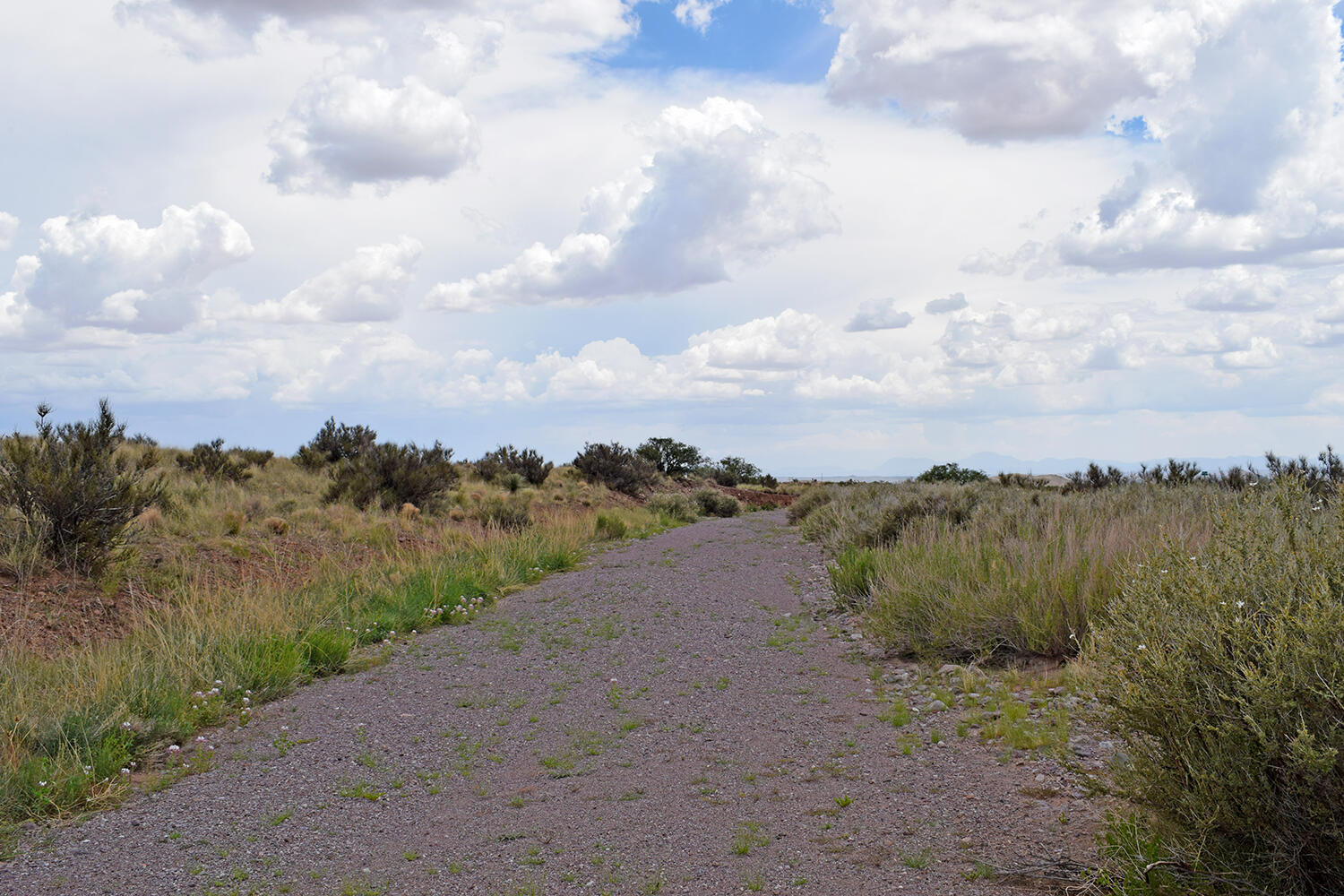 Photo 19 — 205 Muledeer Trail